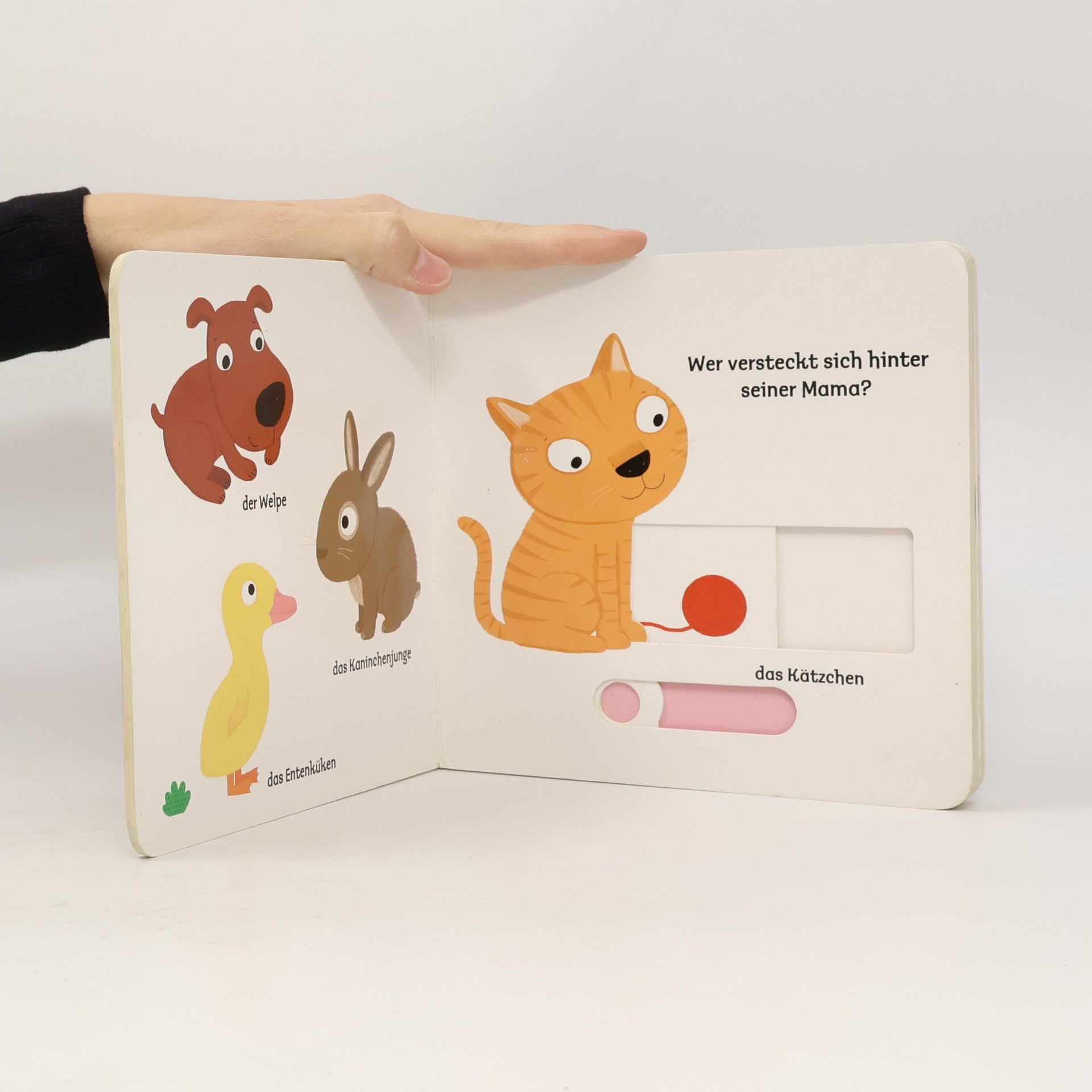 Nathalie Choux Mein erstes Buch von den Tierkindern