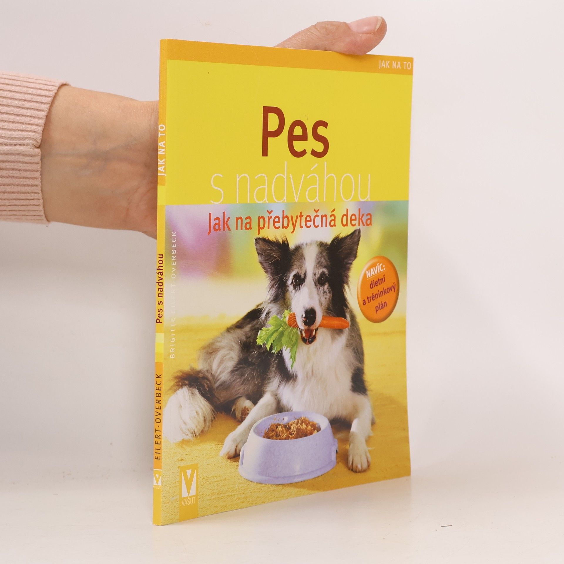 Pes s nadváhou