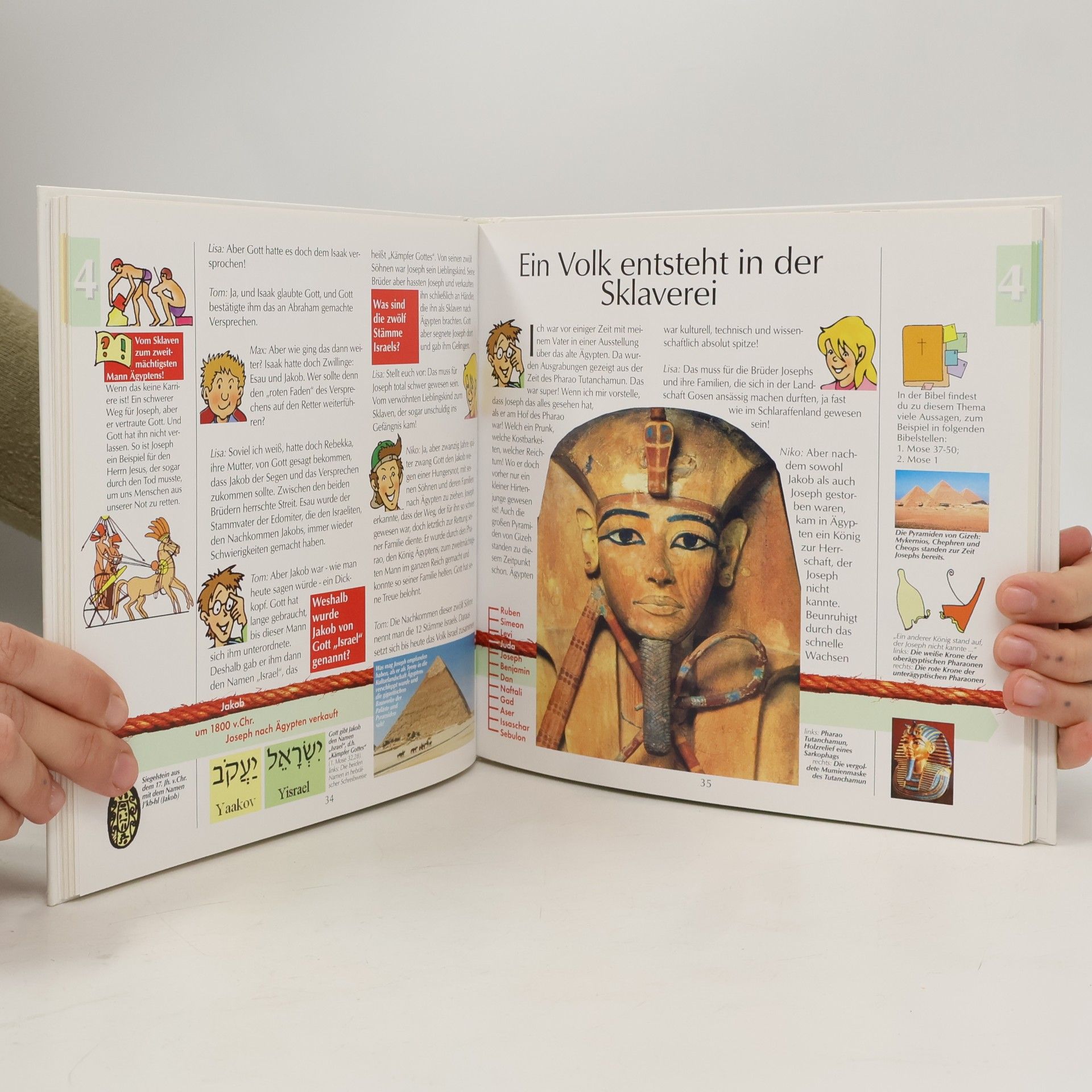 Eberhard Platte Bibel-Panorama Junior: Entdecke Gottes Plan mit dieser Welt