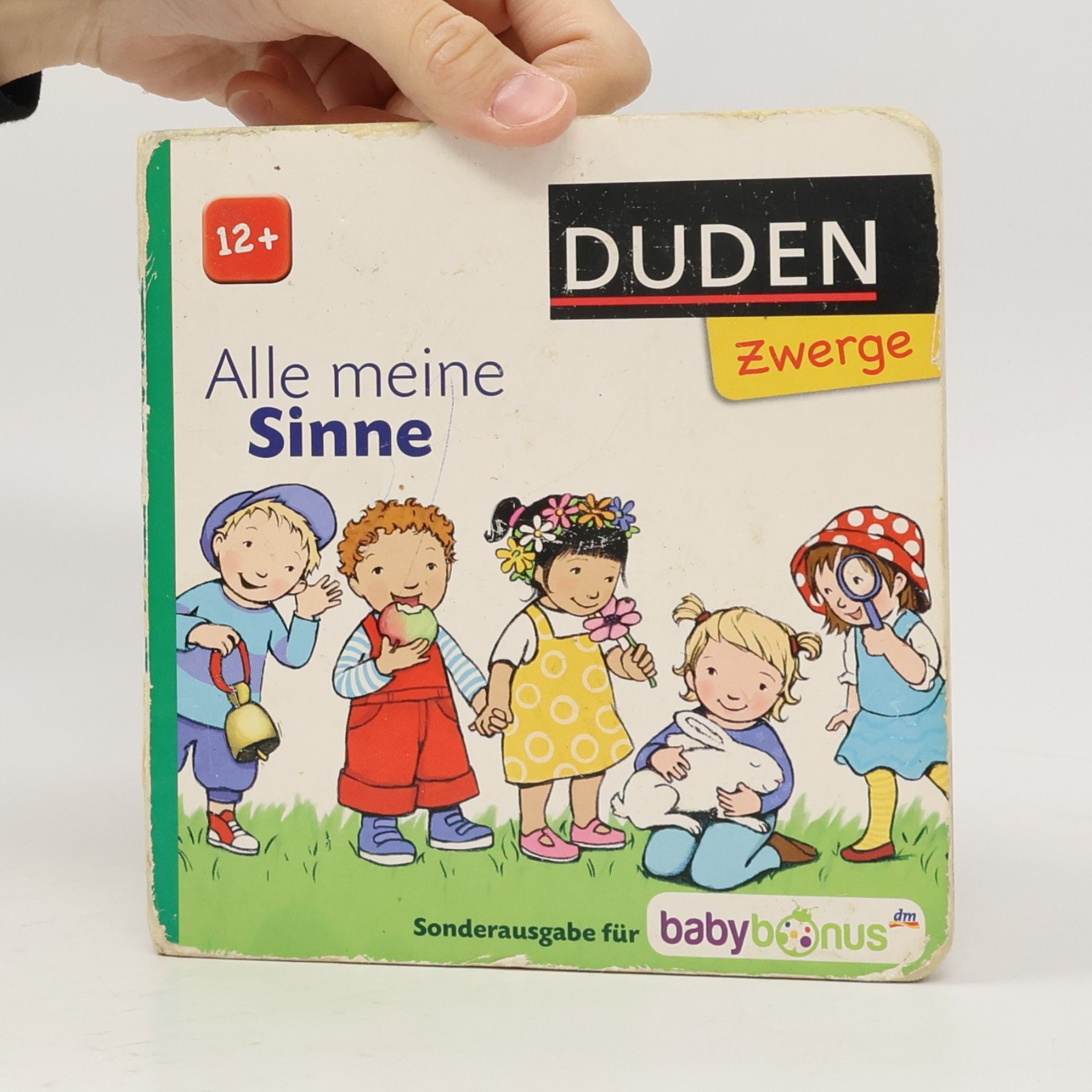 Autorenkollektiv Alle meine Sinne