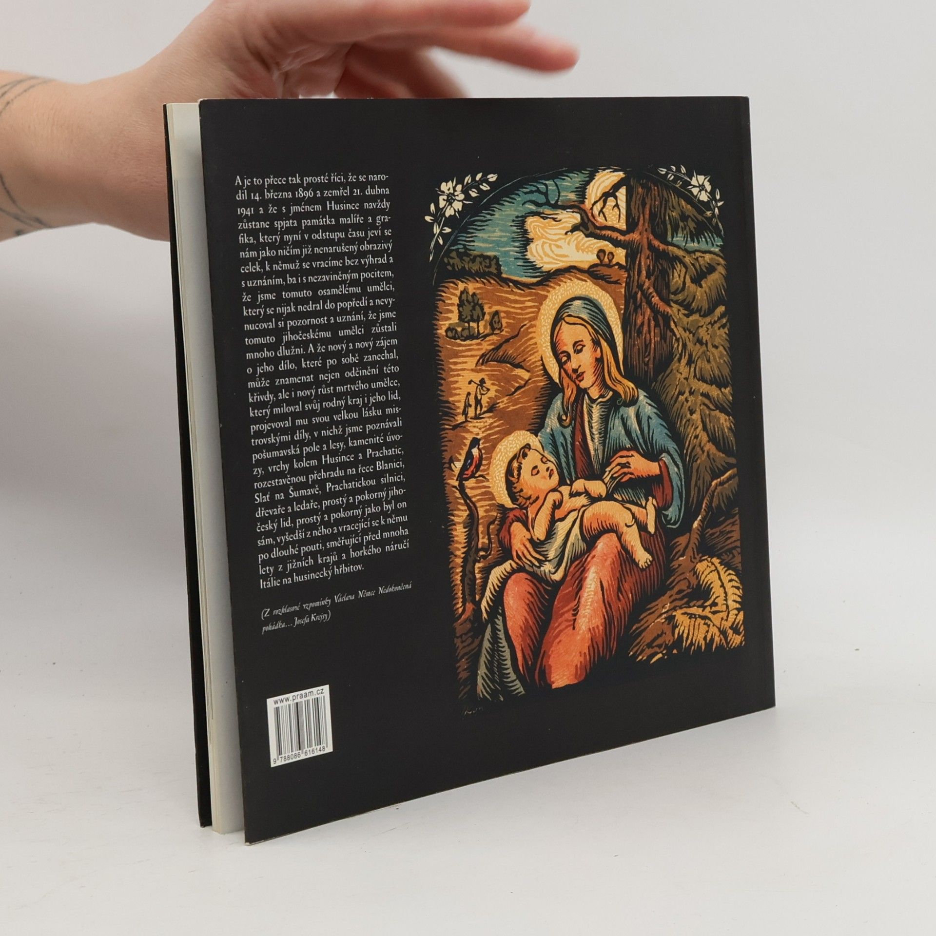 Václav Kinský Madonka v lese: zpráva o životě a díle Josefa Krejsy, malíře a grafika Šumavy