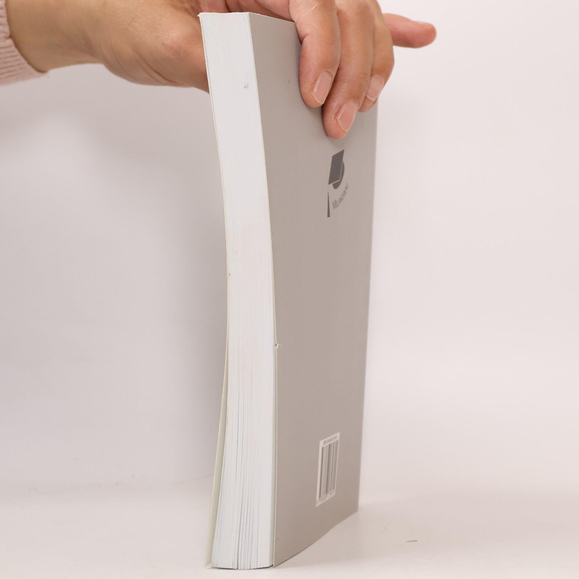 Autorenkollektiv Makroekonomie cvičebnice