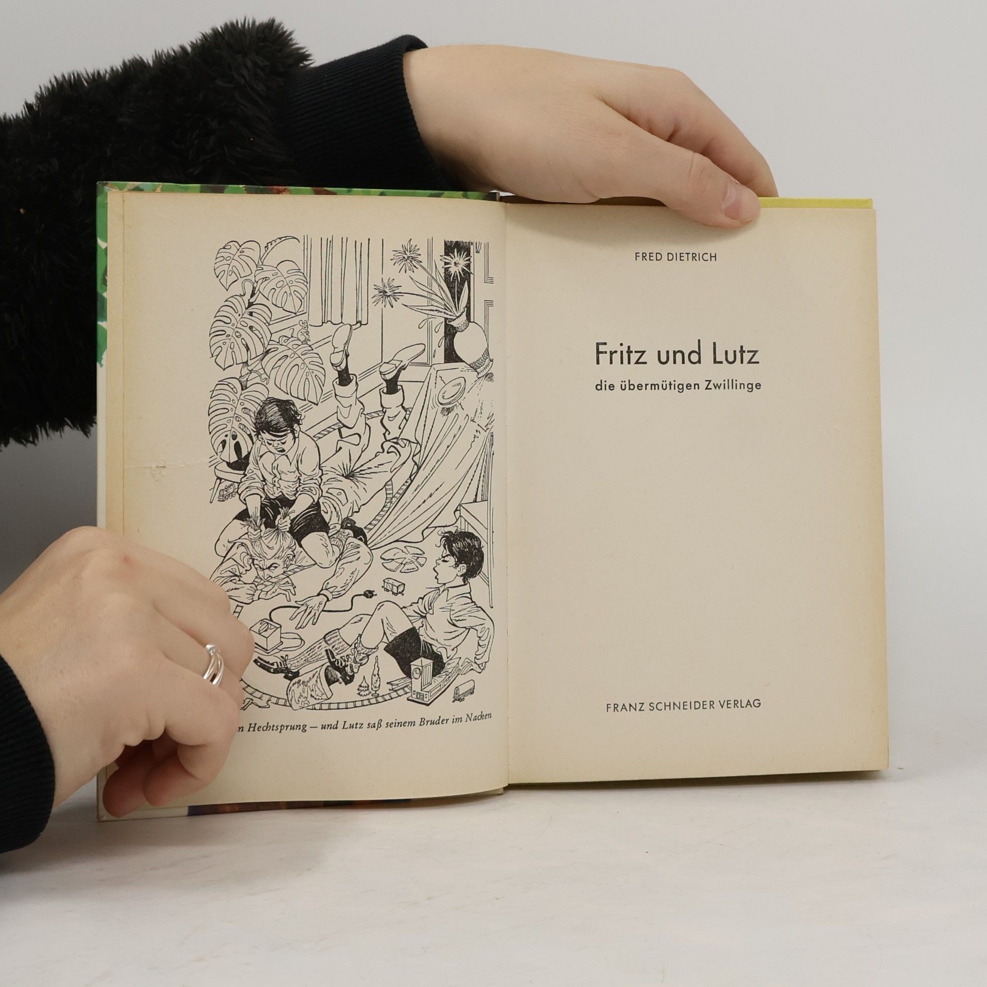 Fred Dietrich Fritz und Lutz, die übermütigen Zwillinge