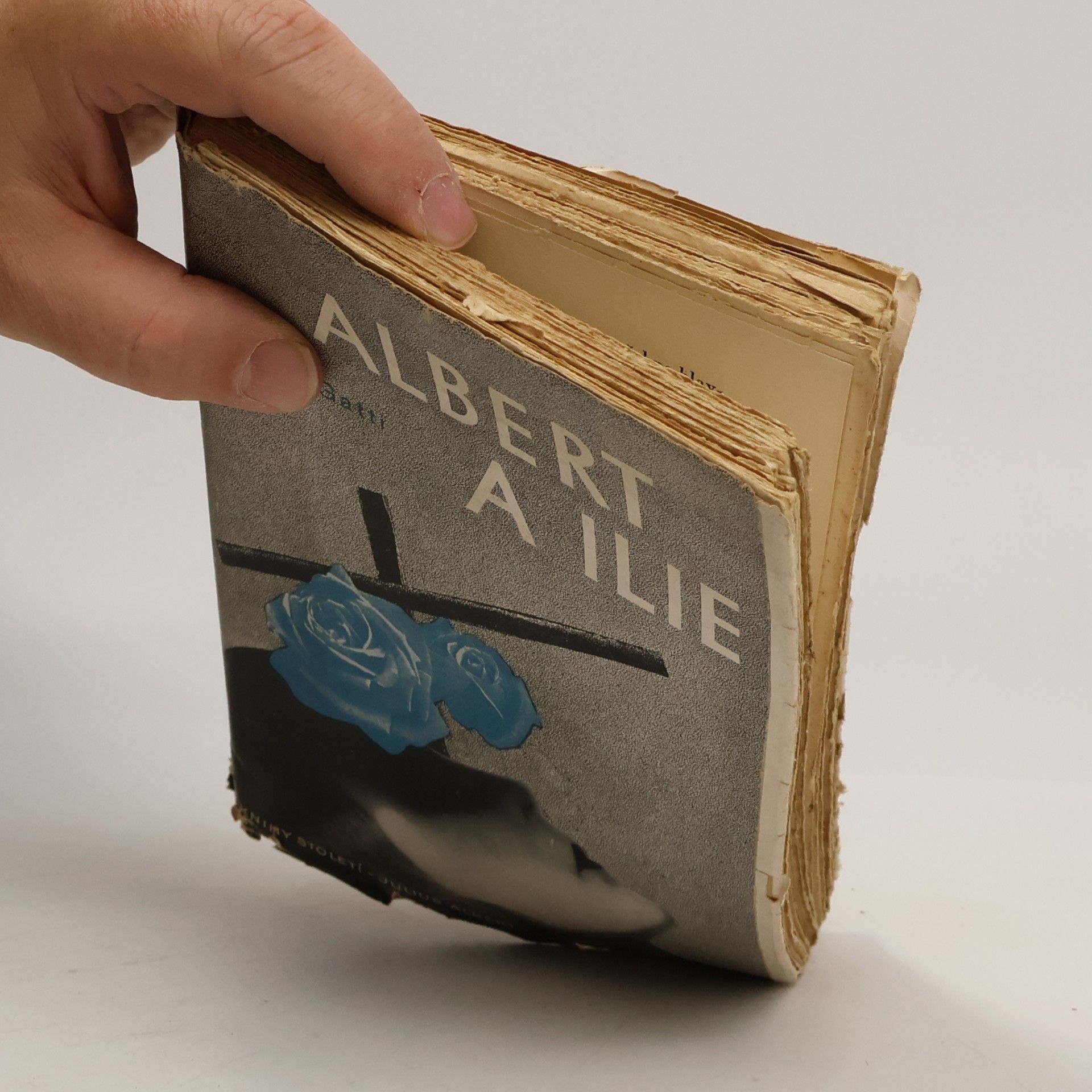 Angelo Gatti Albert a Ilie