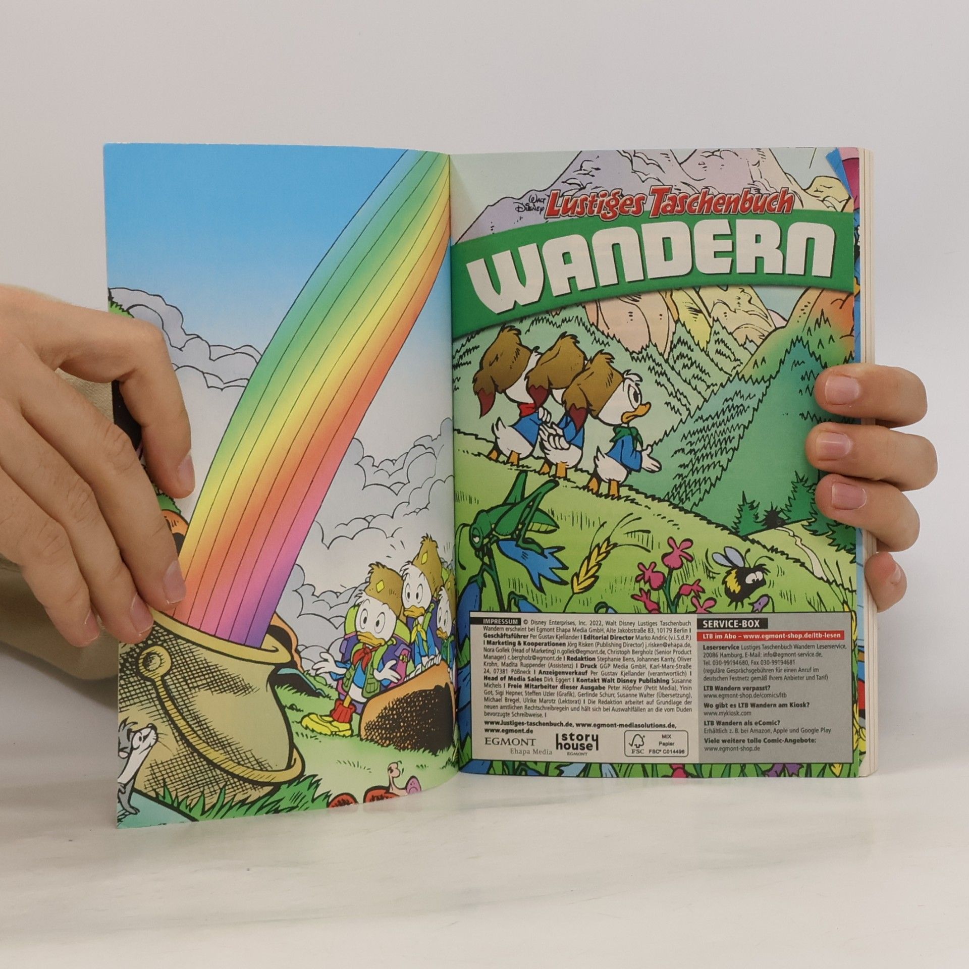 Walt Disney Lustiges Taschenbuch. Wandern