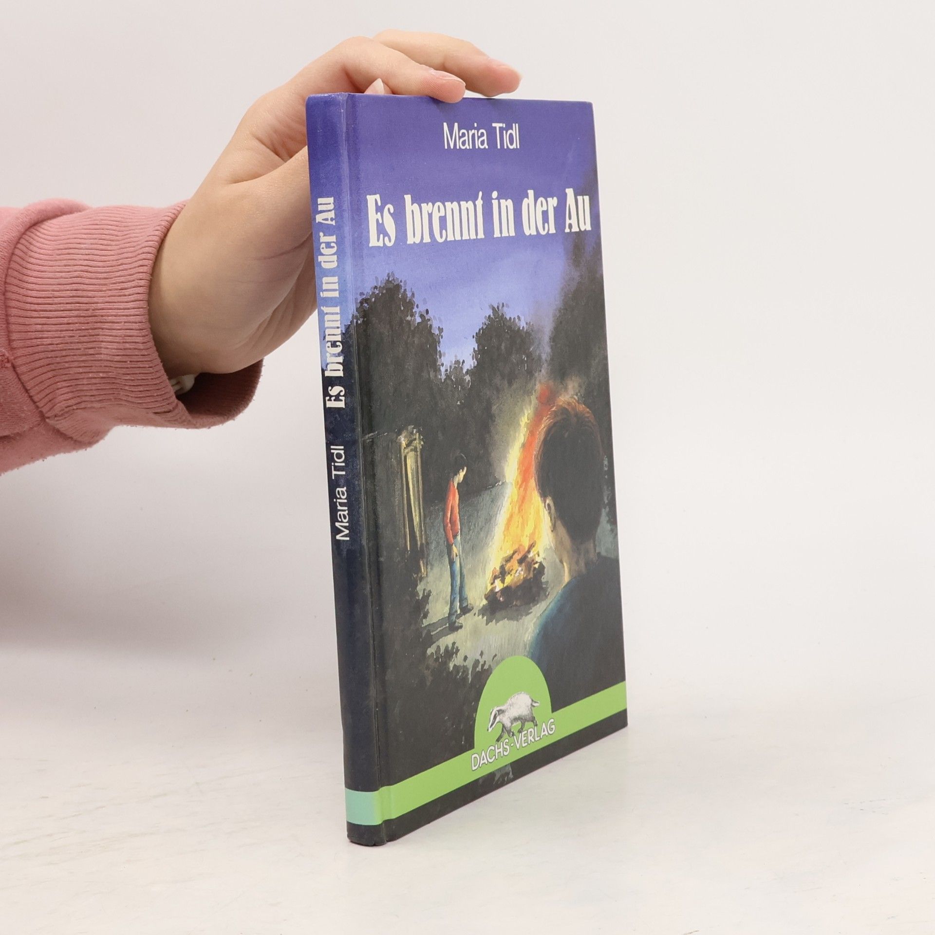 Es brennt in der Au