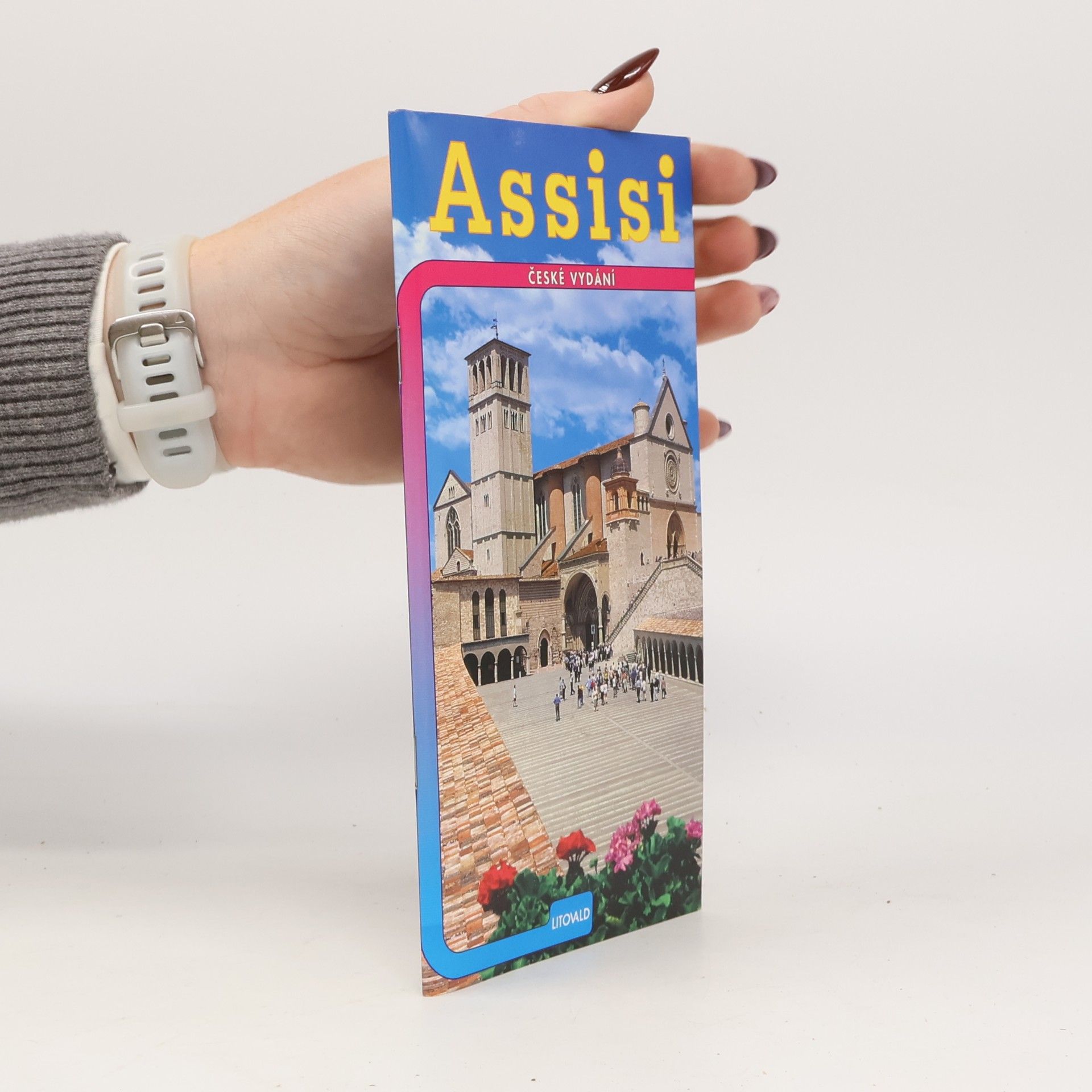 Rizia Guarnieri Assisi