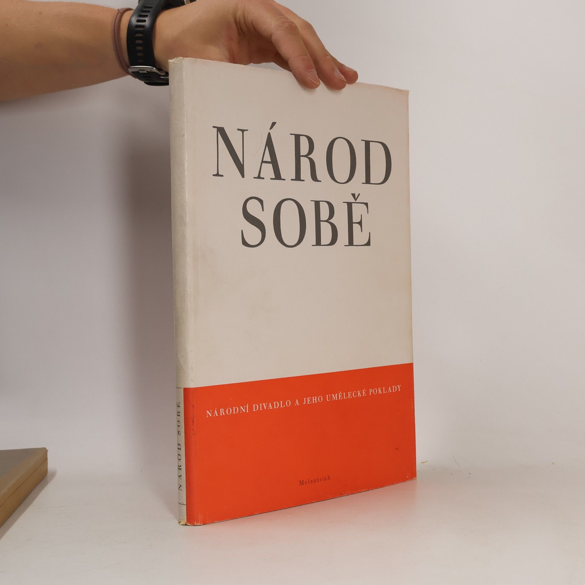 Národ sobě