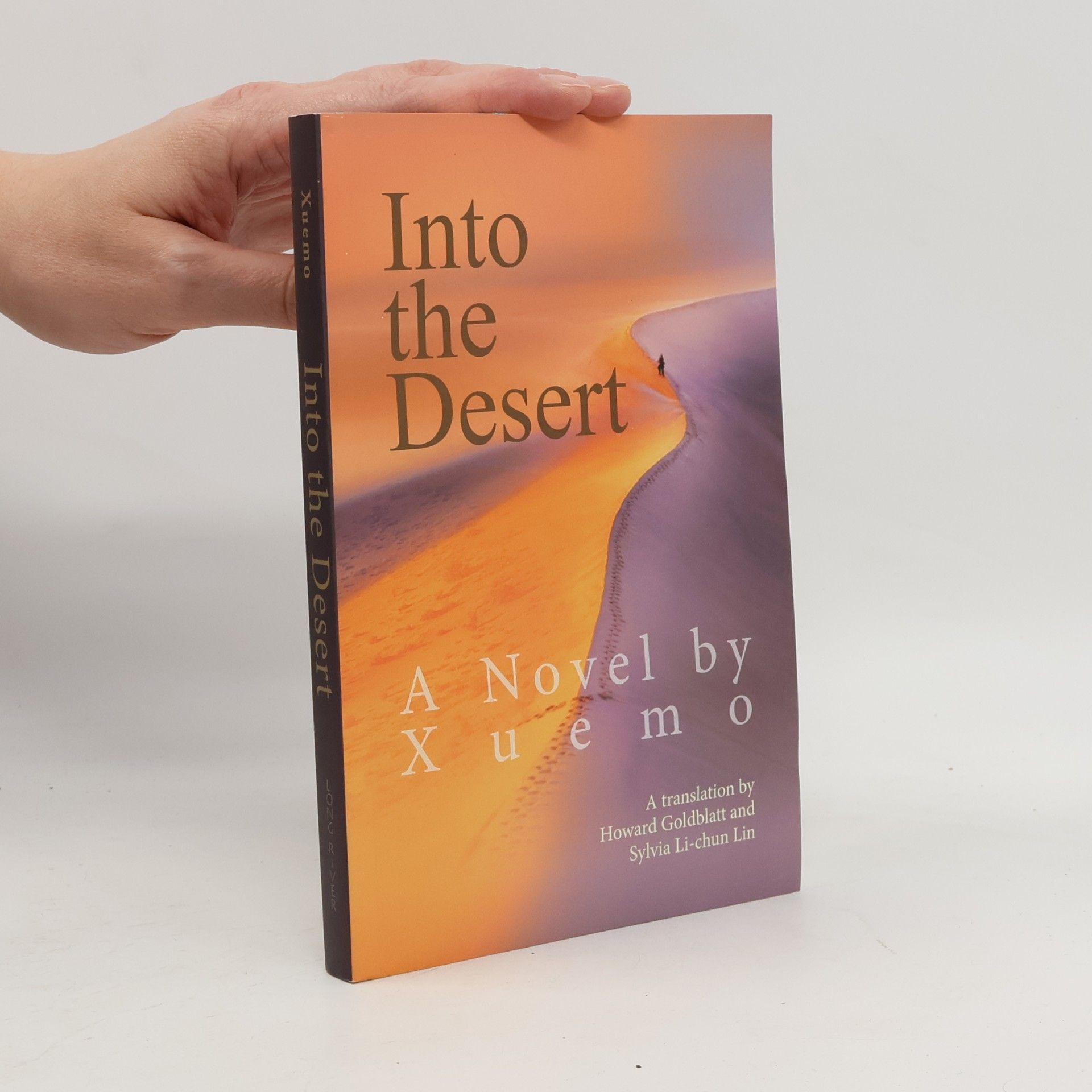 Into the Desert