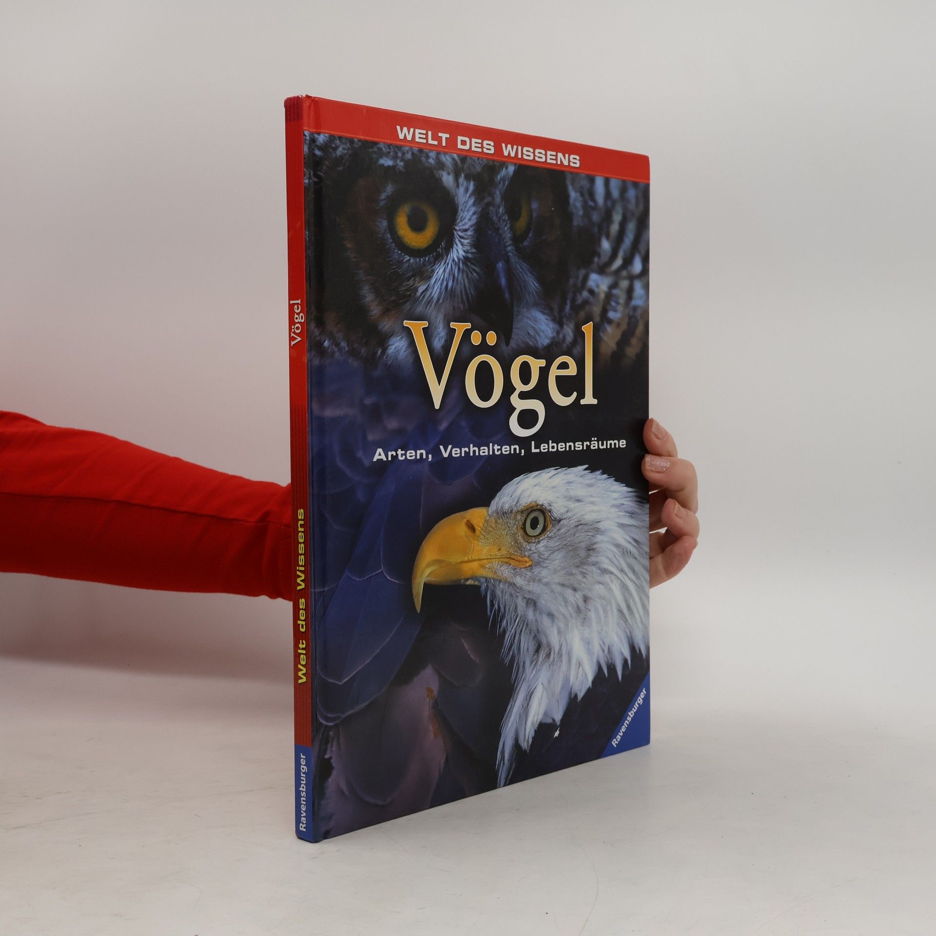 Vögel