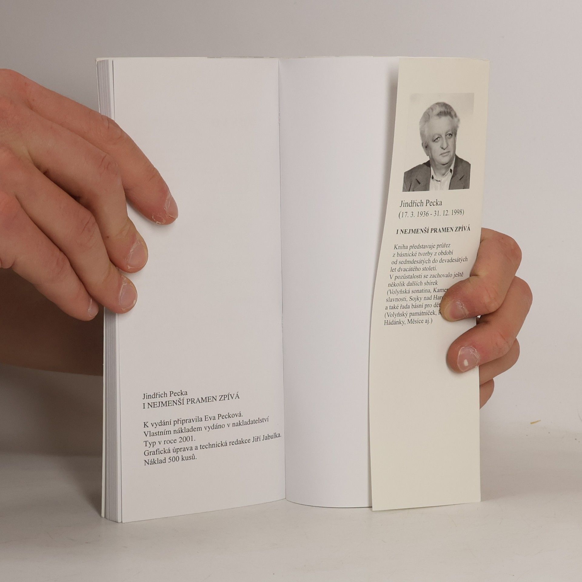Jindřich Pecka I nejmenší pramen zpívá