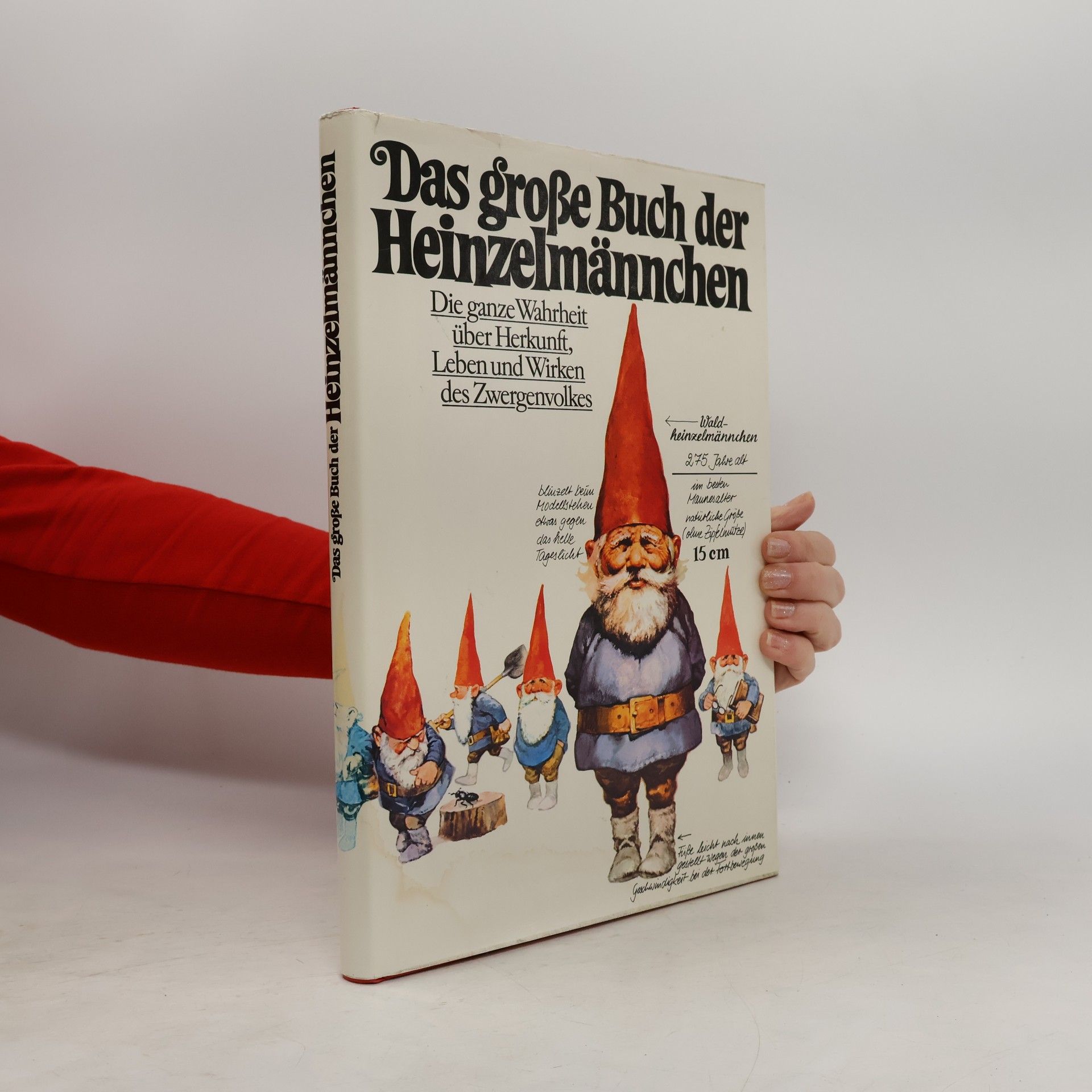 Wil Huygen Das große Buch der Heinzelmännchen