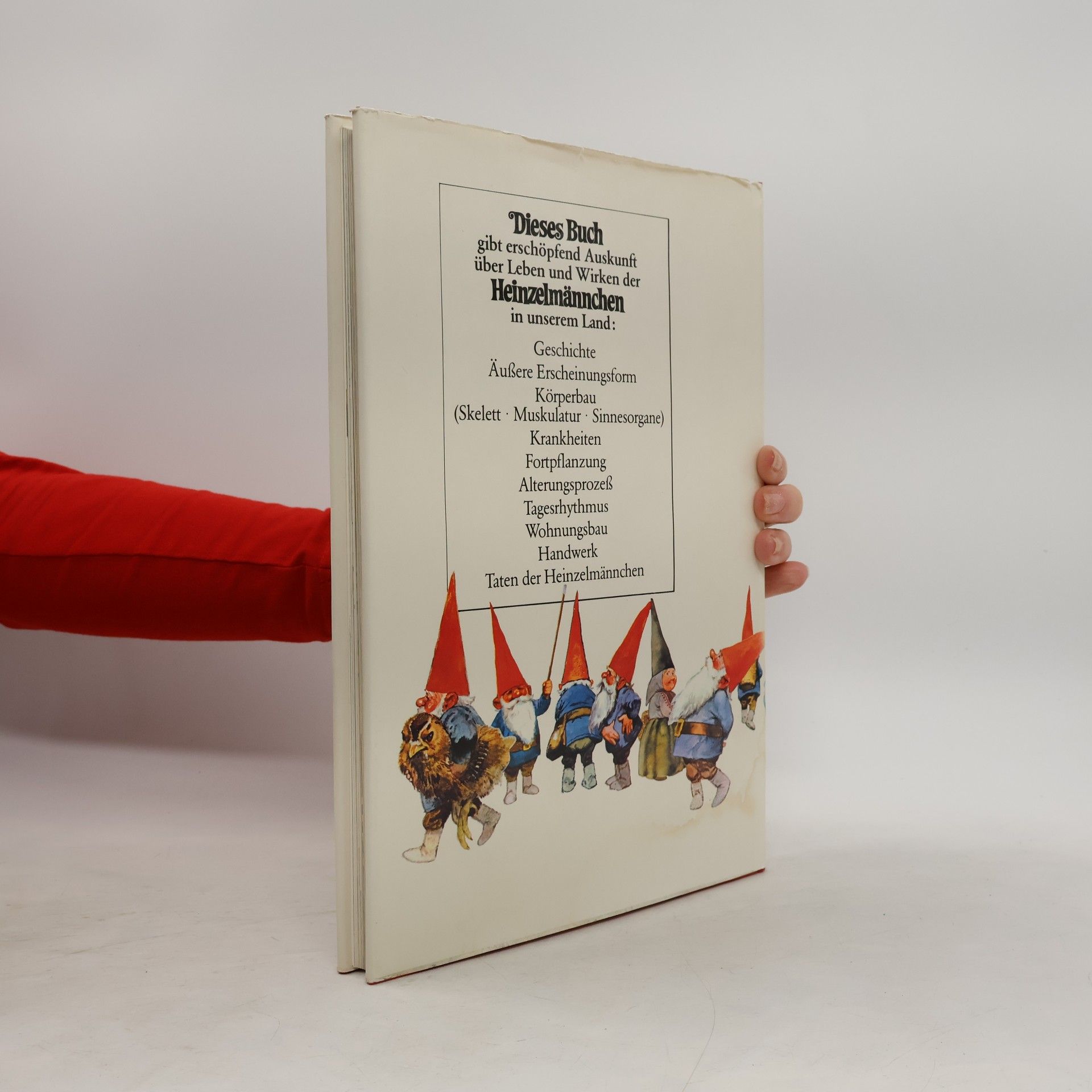 Wil Huygen Das große Buch der Heinzelmännchen