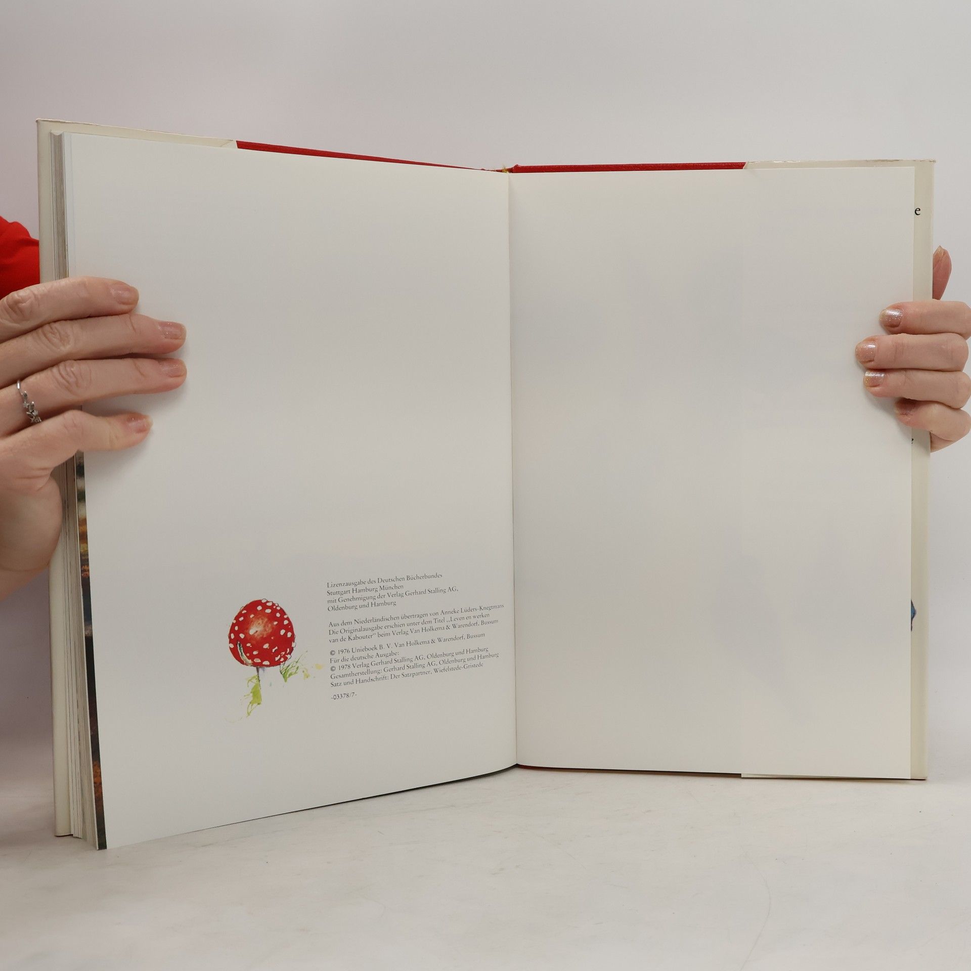 Wil Huygen Das große Buch der Heinzelmännchen