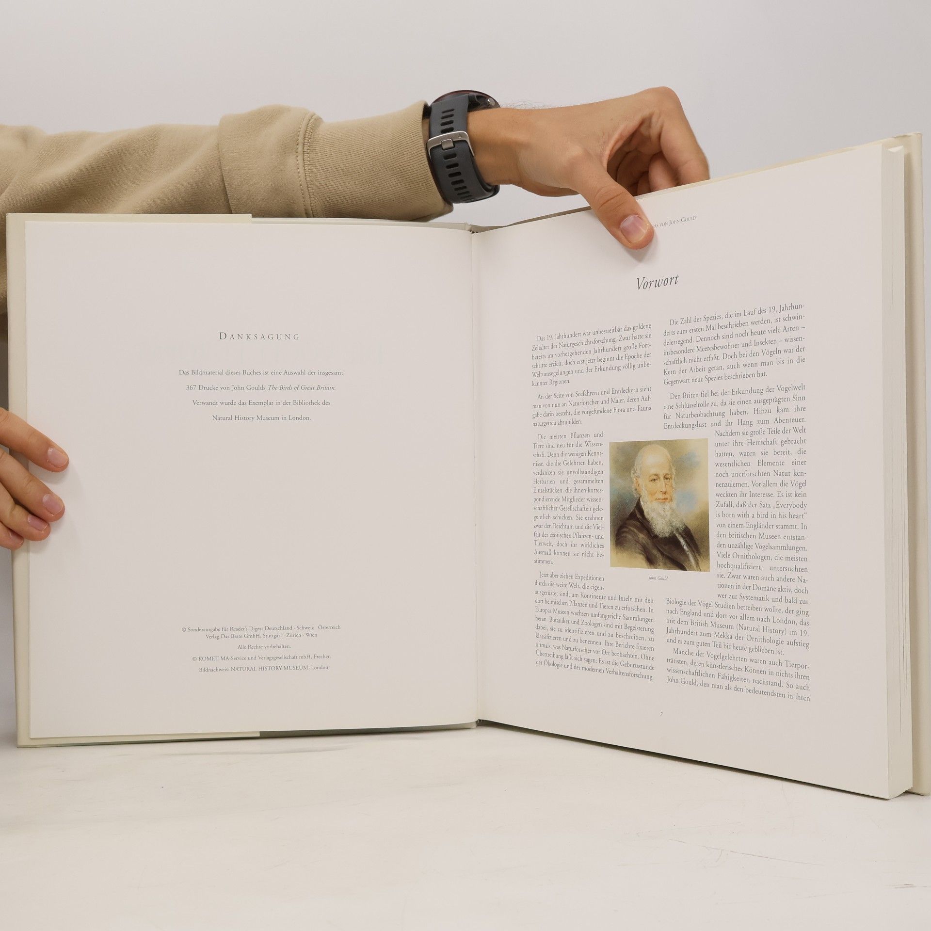 John Gould Die Vögel Europas