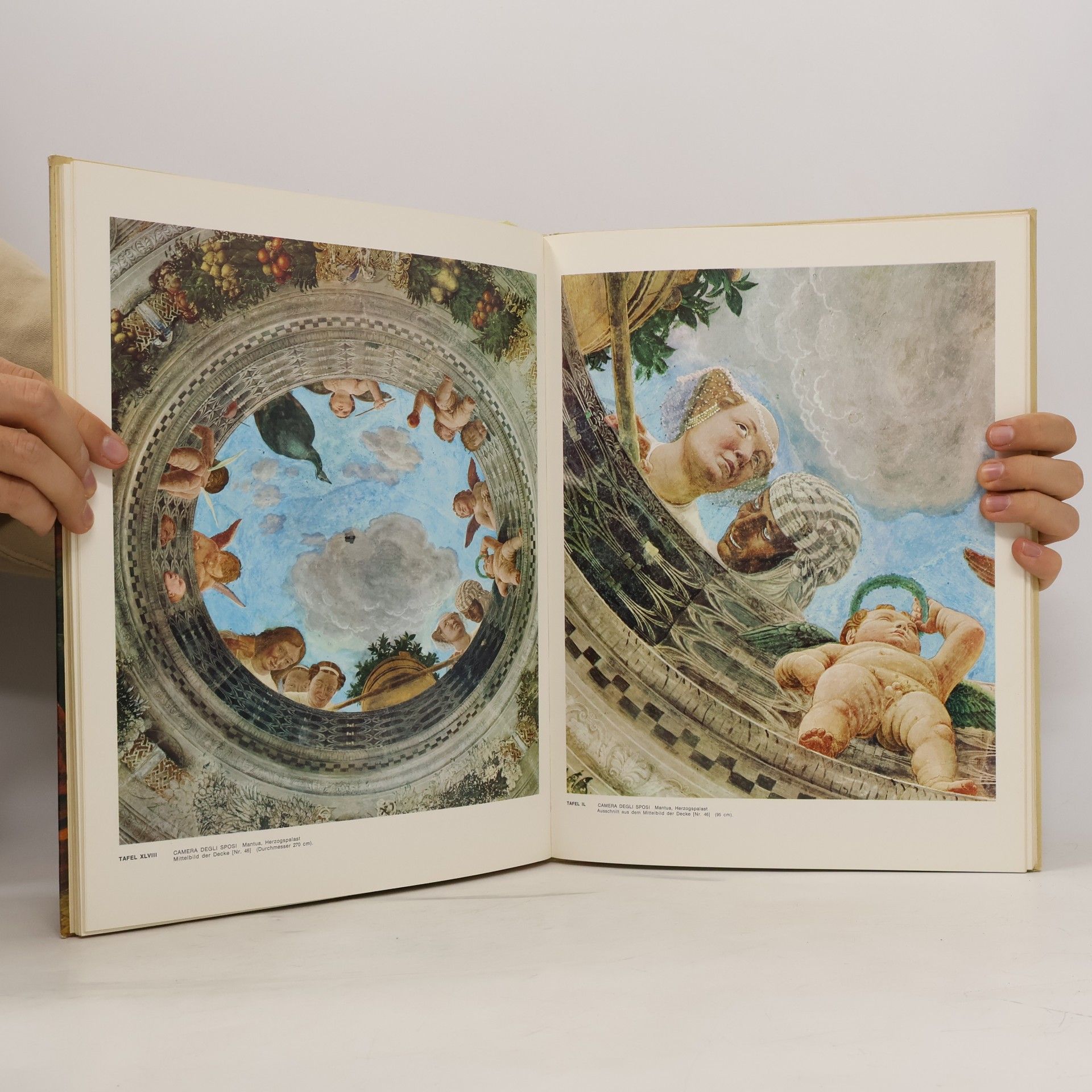 Maria Bellonci Klassiker der Kunst Andrea Mantegna
