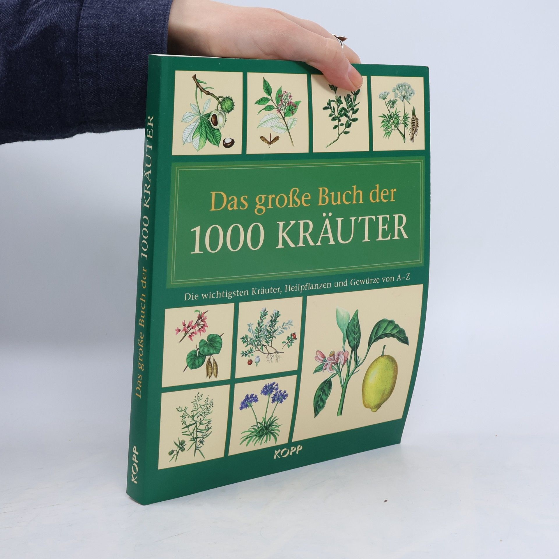 Hans W. Kothe Das große Buch der 1000 Kräuter
