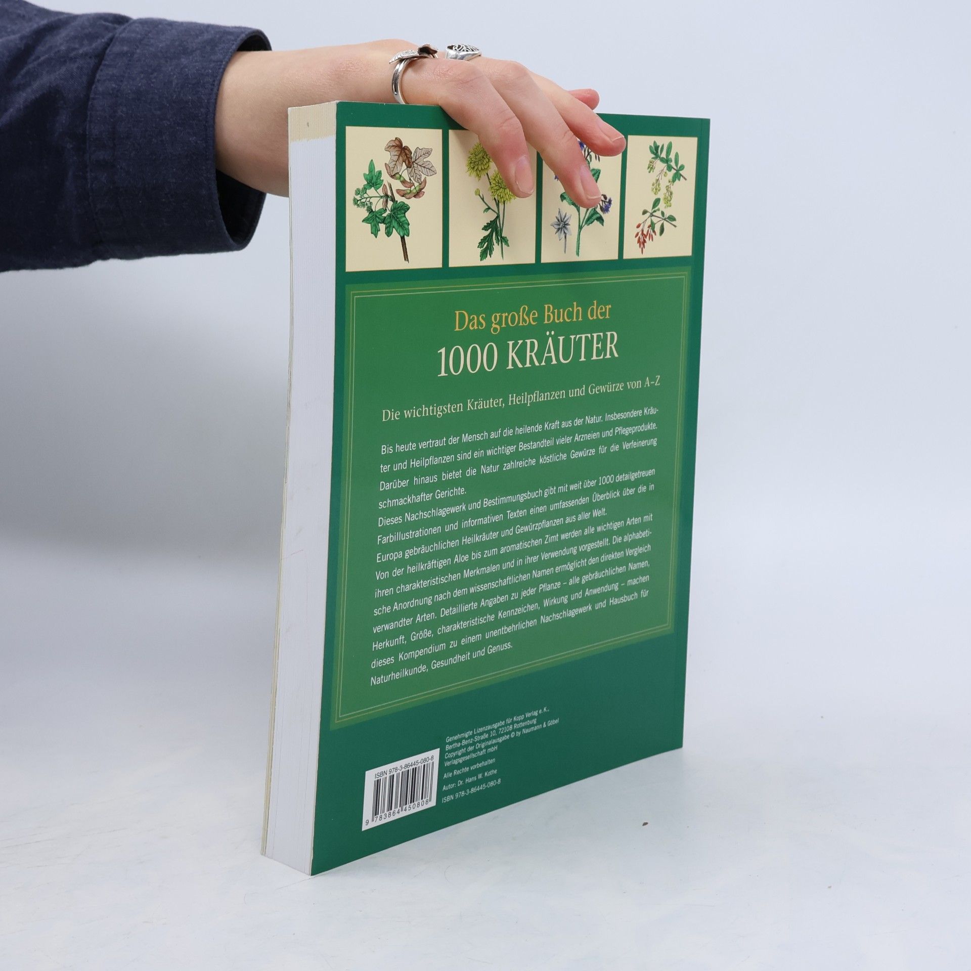 Hans W. Kothe Das große Buch der 1000 Kräuter