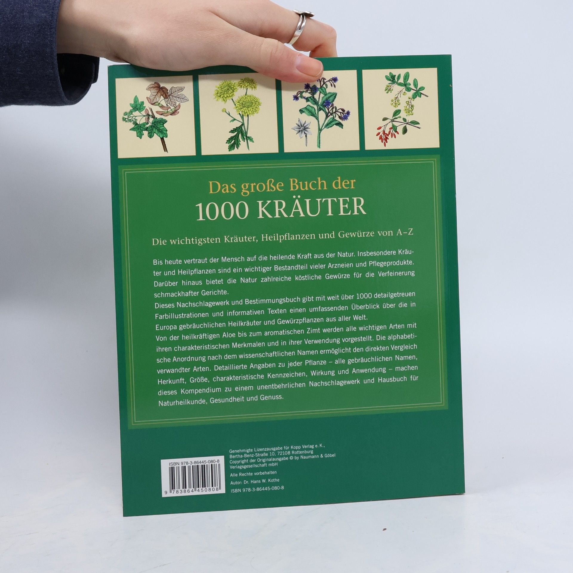 Hans W. Kothe Das große Buch der 1000 Kräuter
