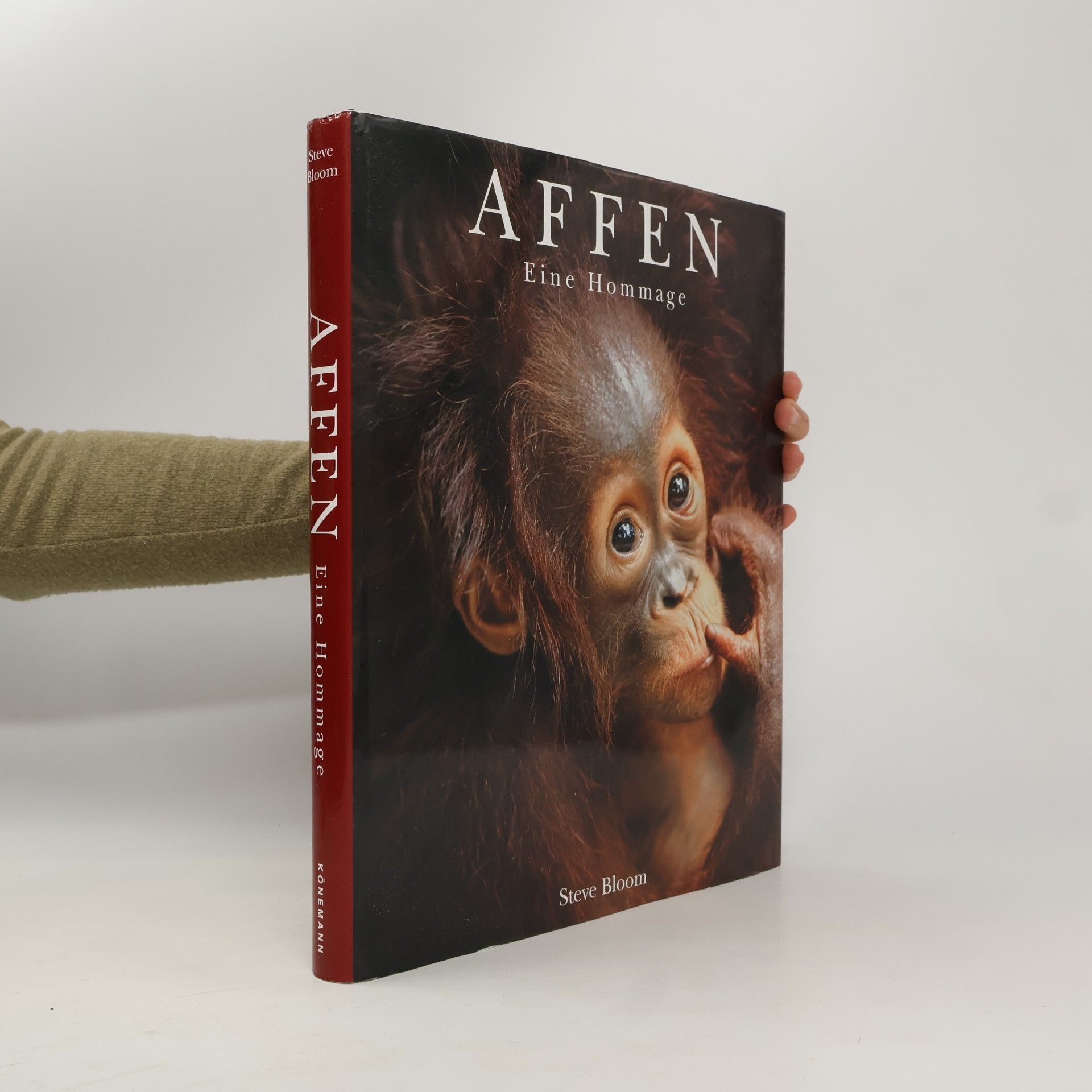 Affen - eine Hommage