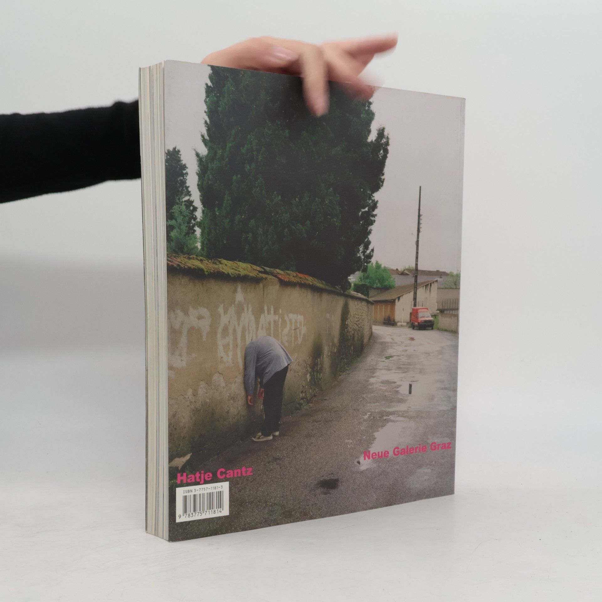 Erwin Wurm Erwin Wurm