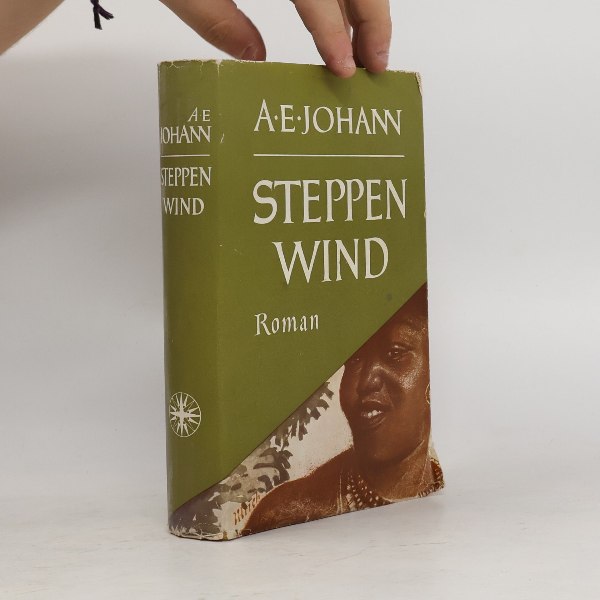 Steppenwind