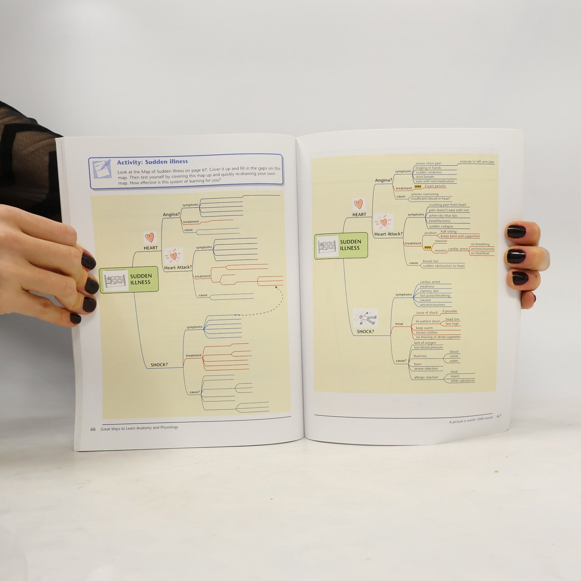 Charmaine McKissock Palgrave Study Skills: Great Ways to Learn Anatomy & Physiology
