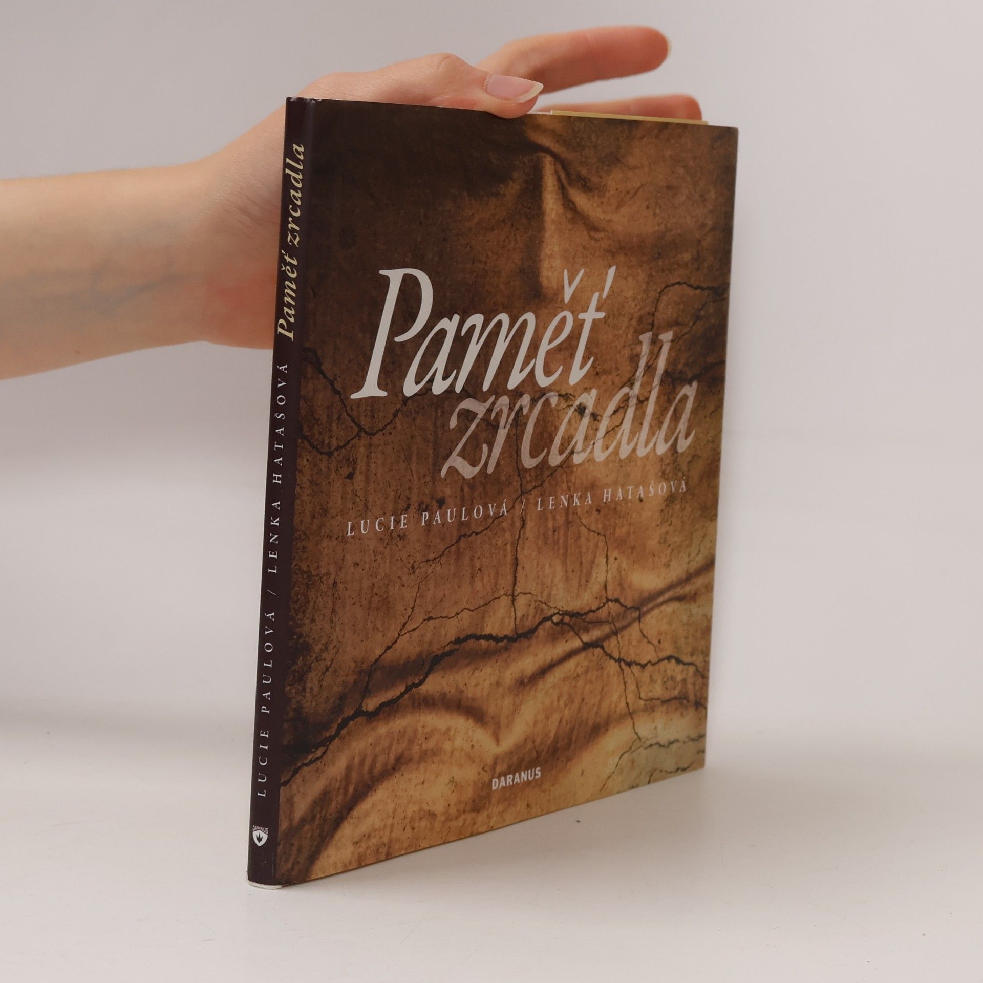 Paměť zrcadla