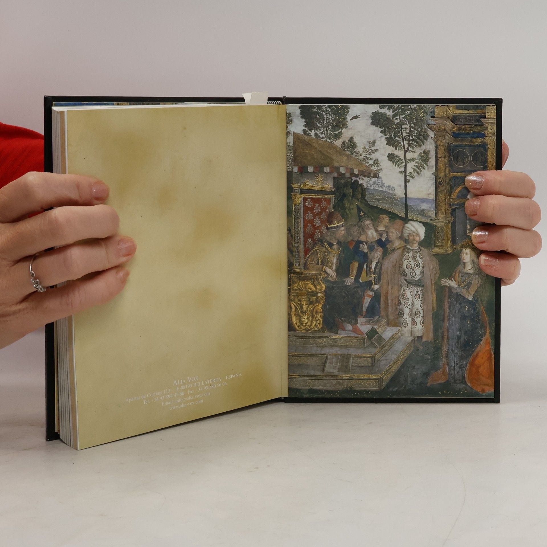 kolektiv Dinastia Borgia: Chiesa e potere nel Rinascimento