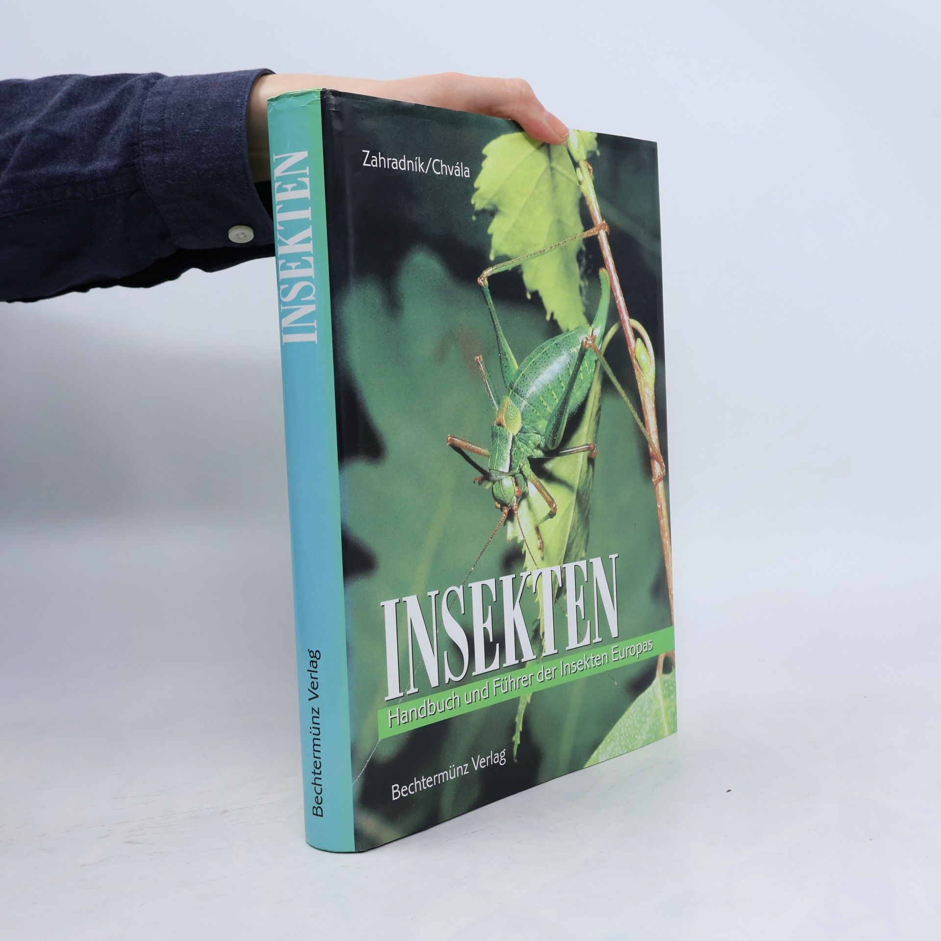 Autorenkollektiv Insekten