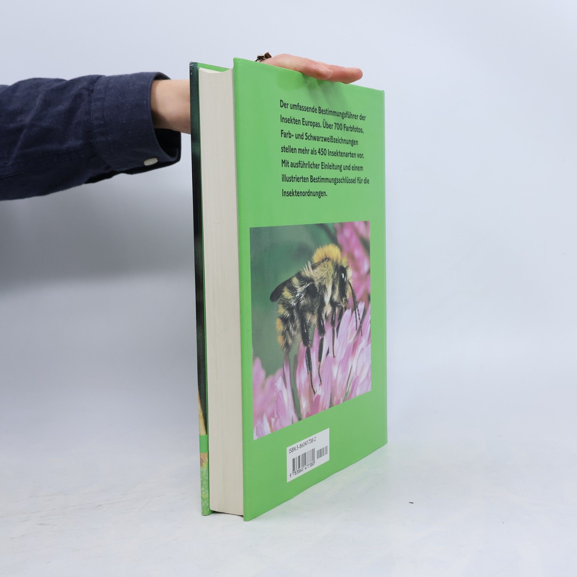 Autorenkollektiv Insekten