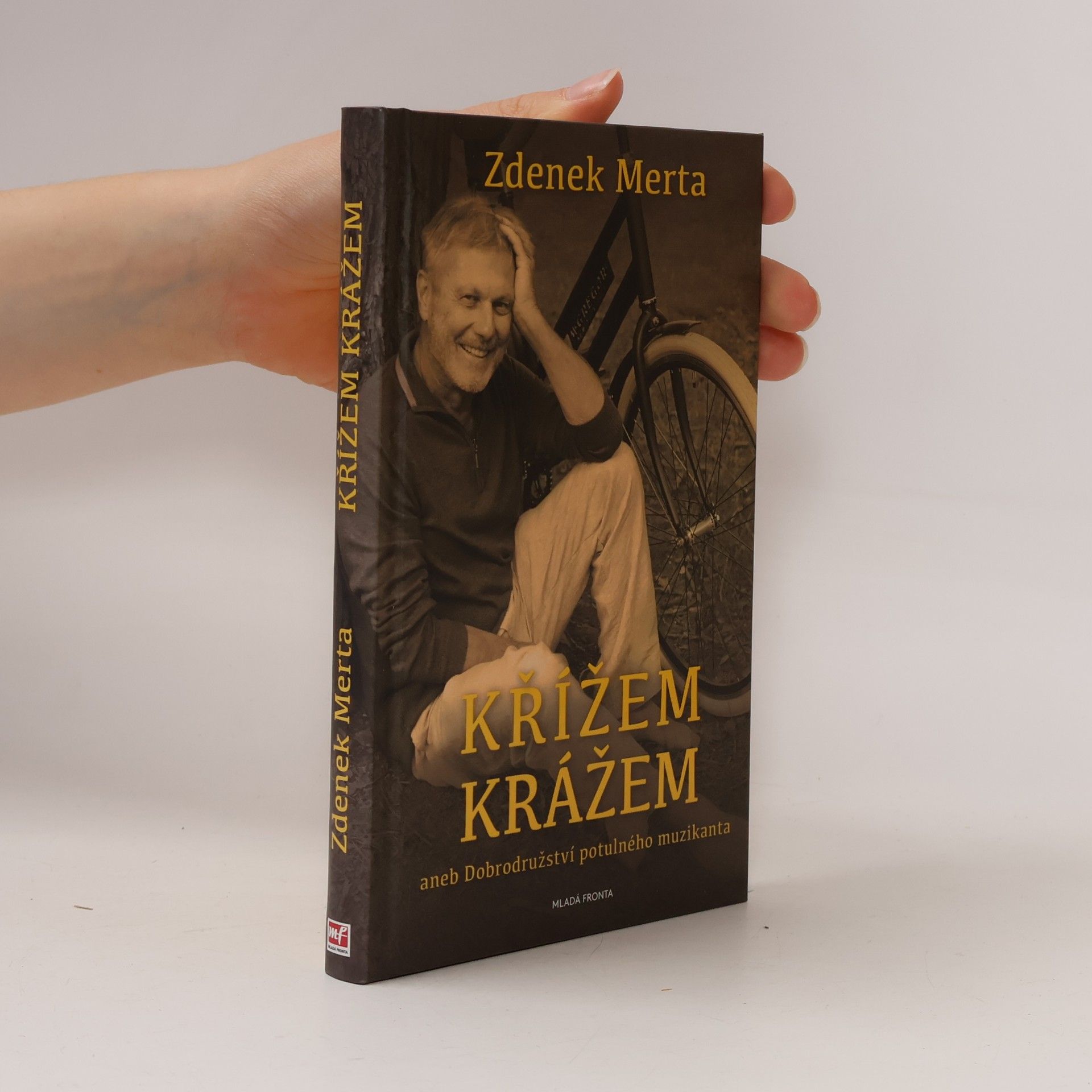 Křížem krážem aneb Dobrodružství potulného muzikanta