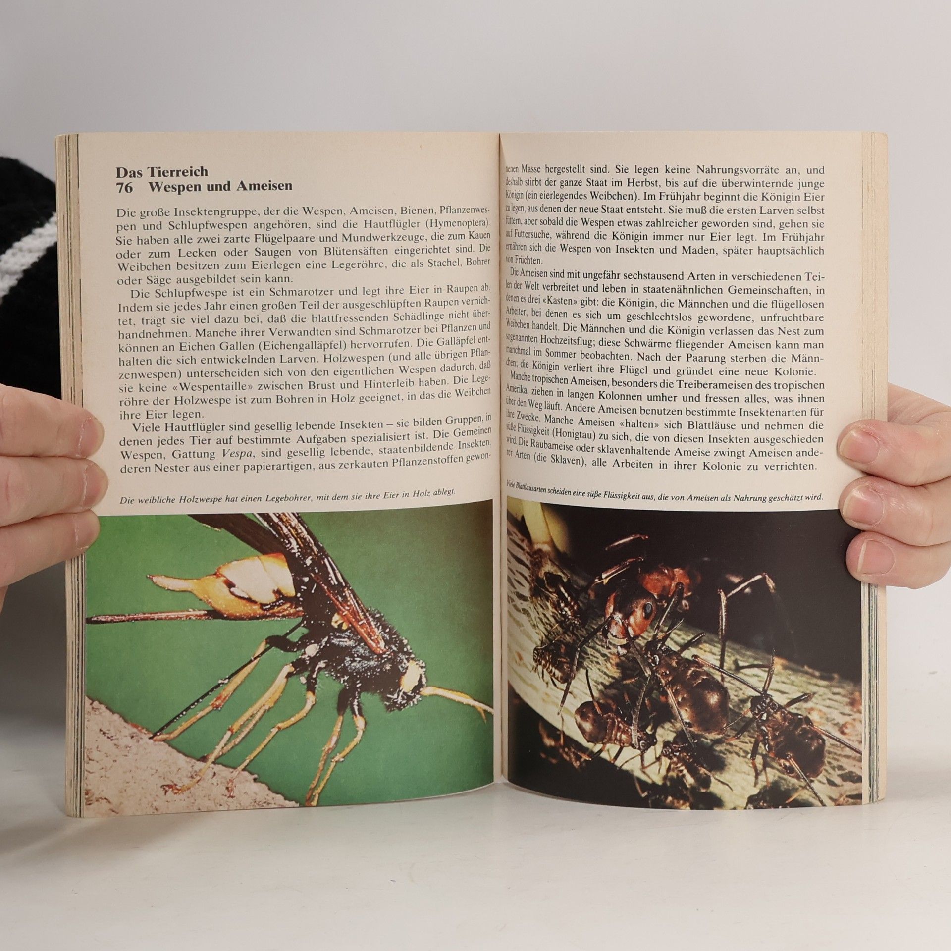 Various authors Jugendhandbuch Naturwissen 2