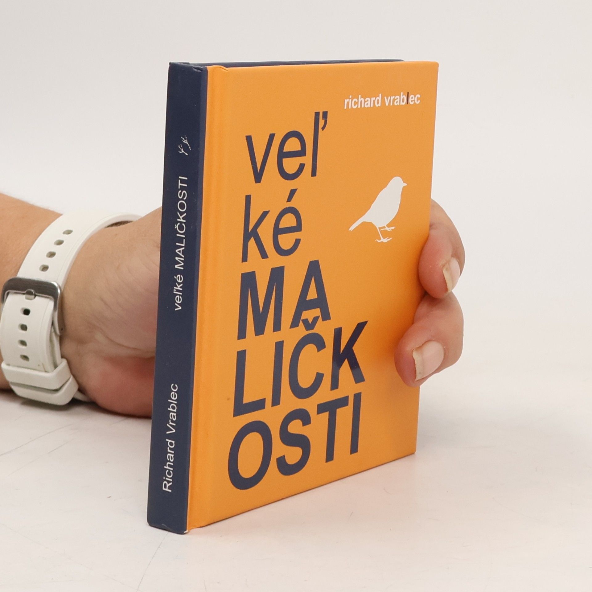 Veľké maličkosti