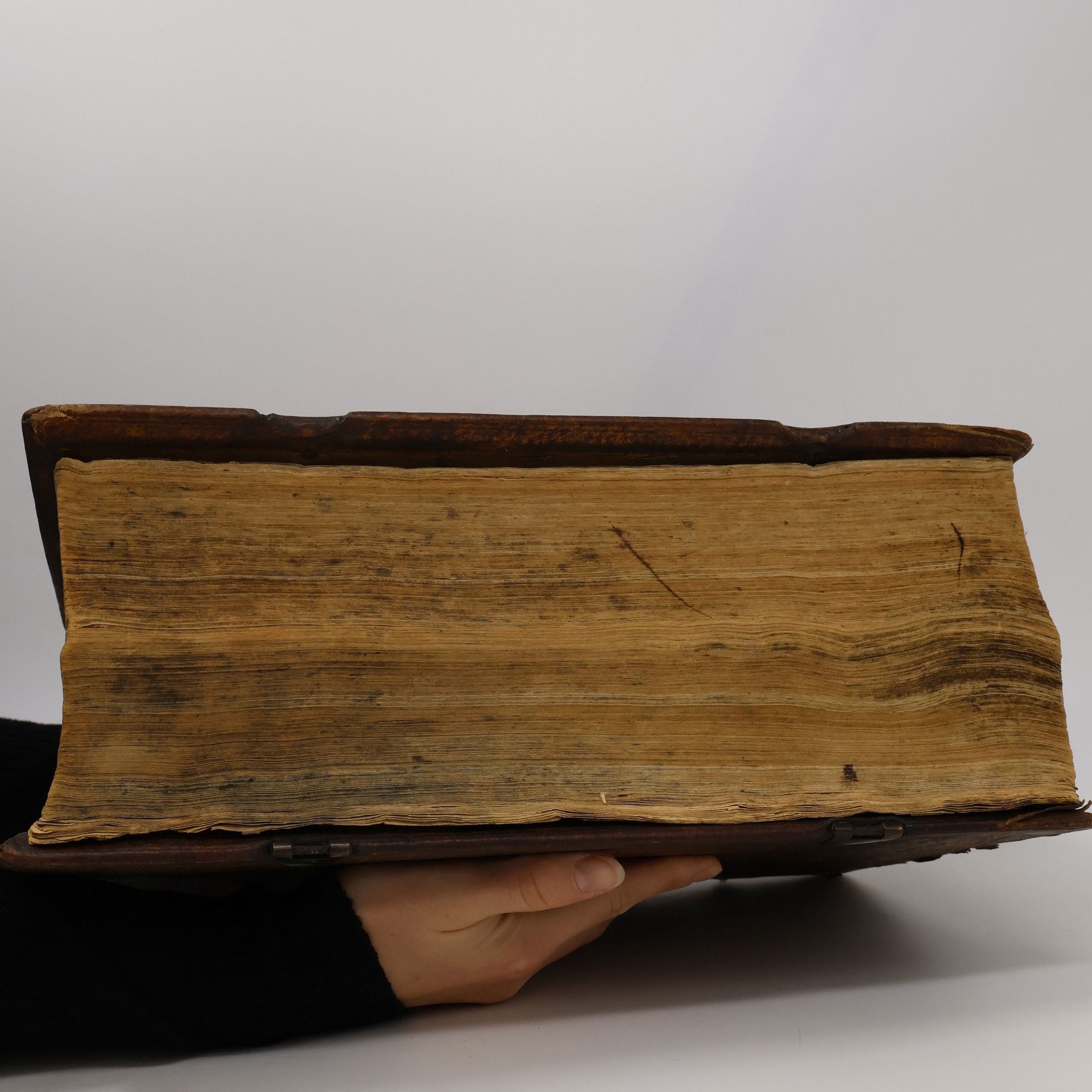 P. Thoma Aq. Erhard BIBLIA SACRA VULGATÆ EDITIONIS / Oder Heilige Schrift Des Alten und Neuen Testaments/