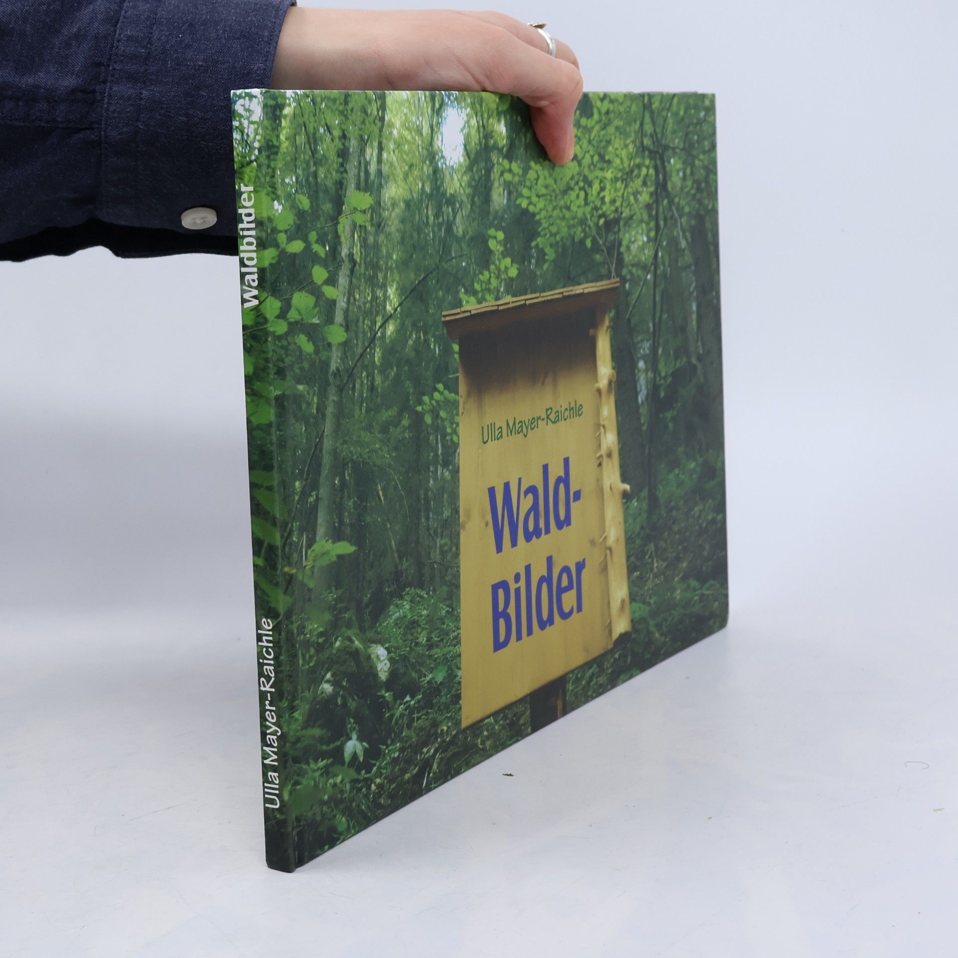 Ulla Mayer Raichle Waldbilder