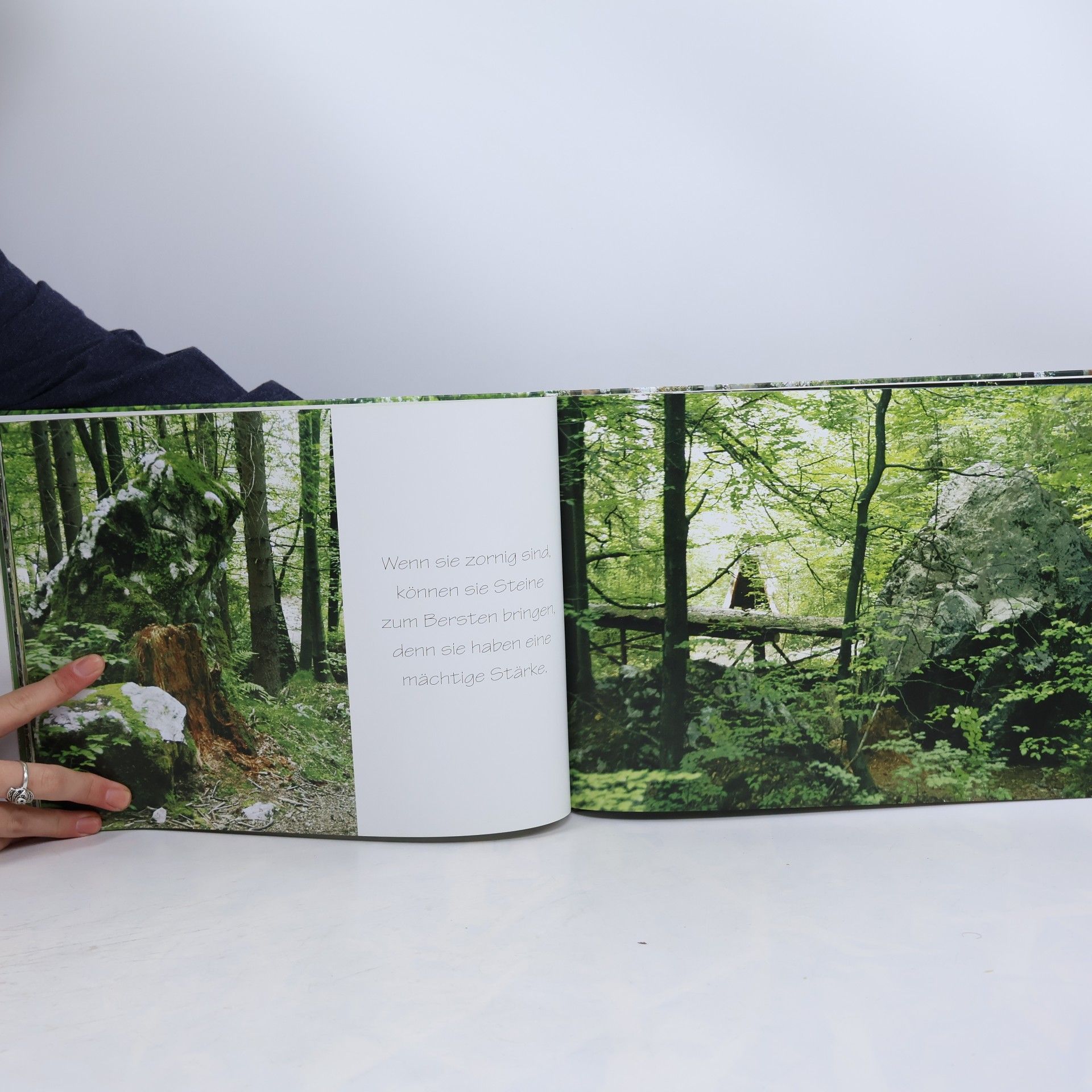 Ulla Mayer Raichle Waldbilder