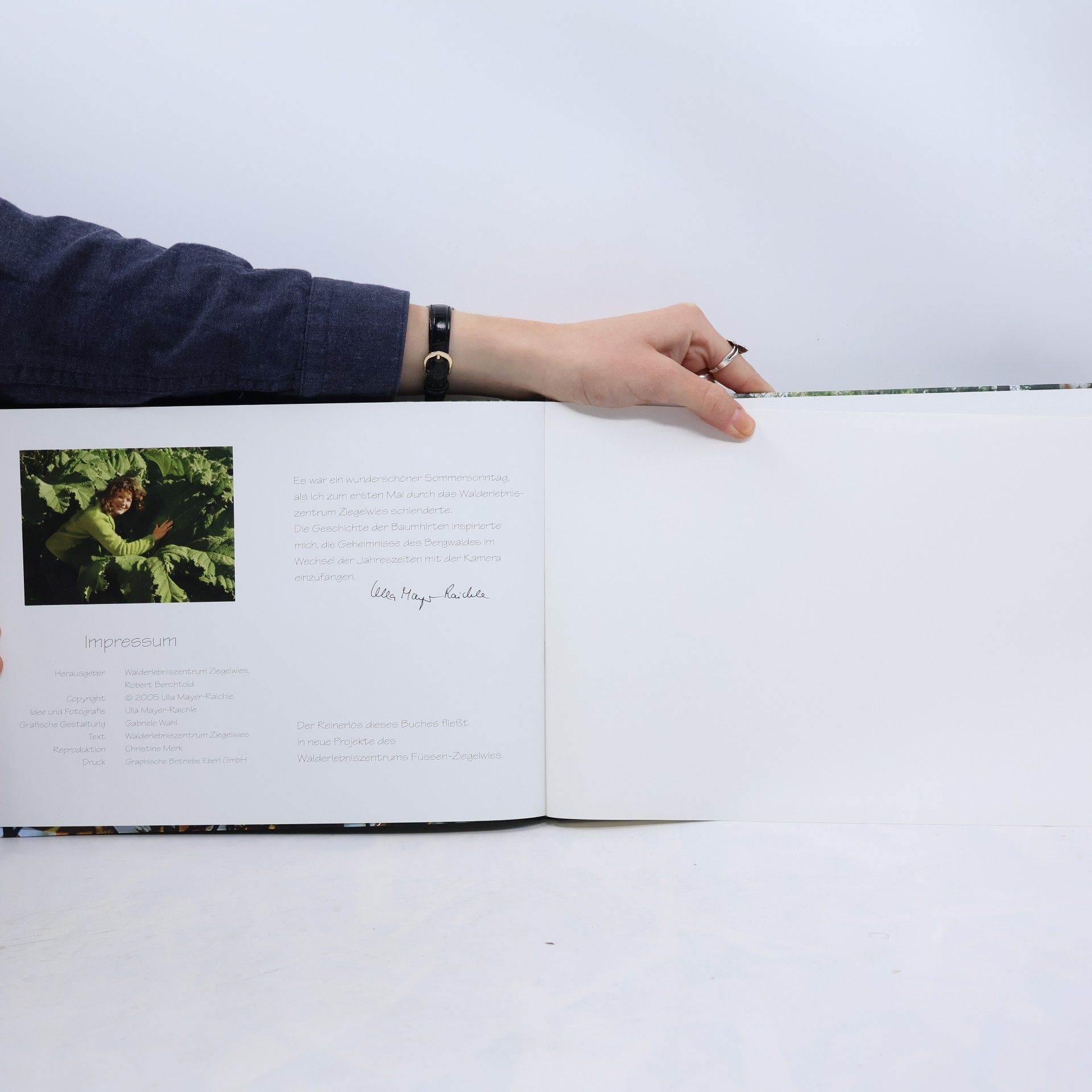 Ulla Mayer Raichle Waldbilder