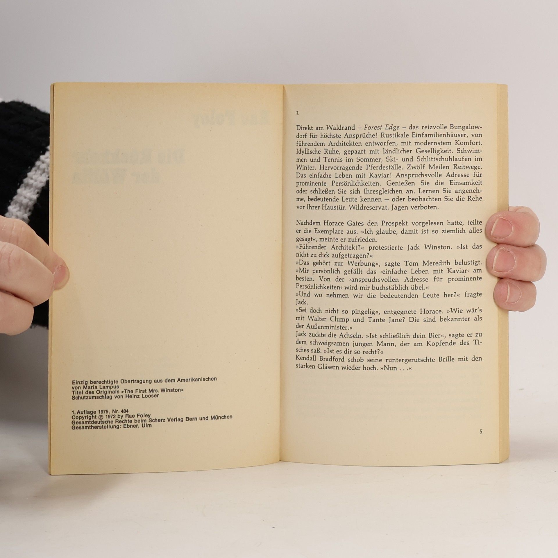 Rae Foley Die Rückkehr der Wölfin