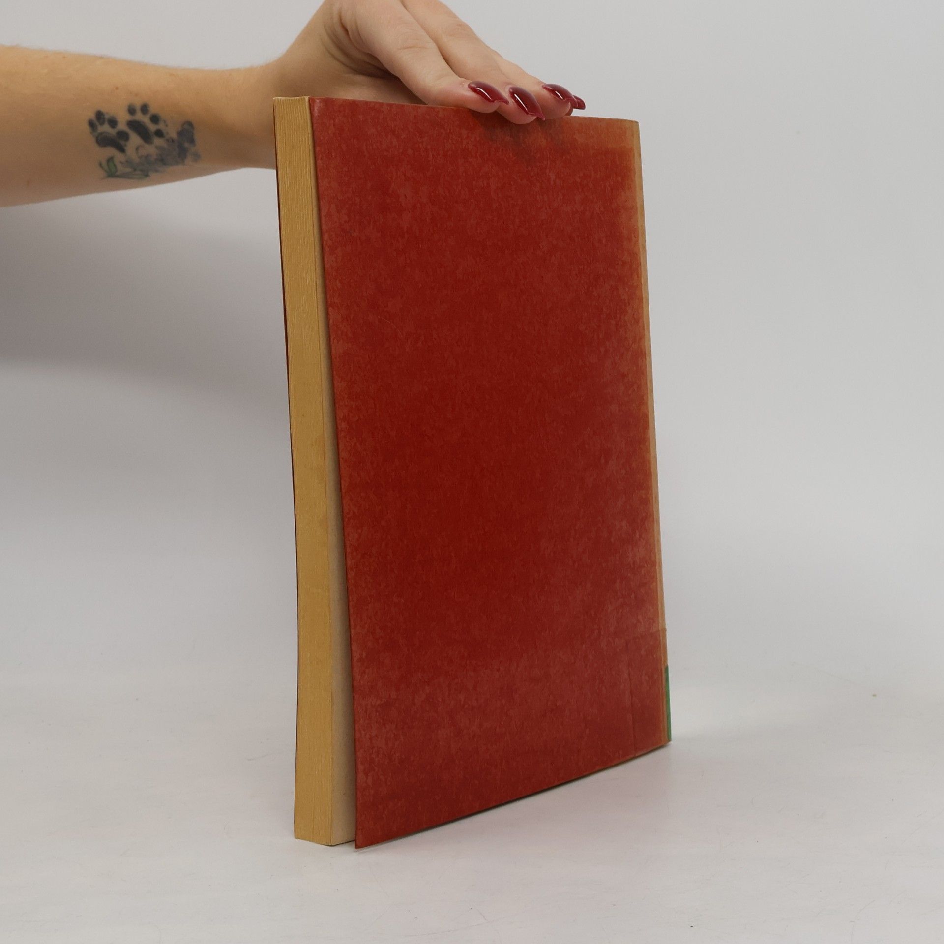 Peter-Jürg Klein Schriften zur Verwaltungslehre - 9: Das Berufsbild des Planers in der öffentlichen Verwaltung