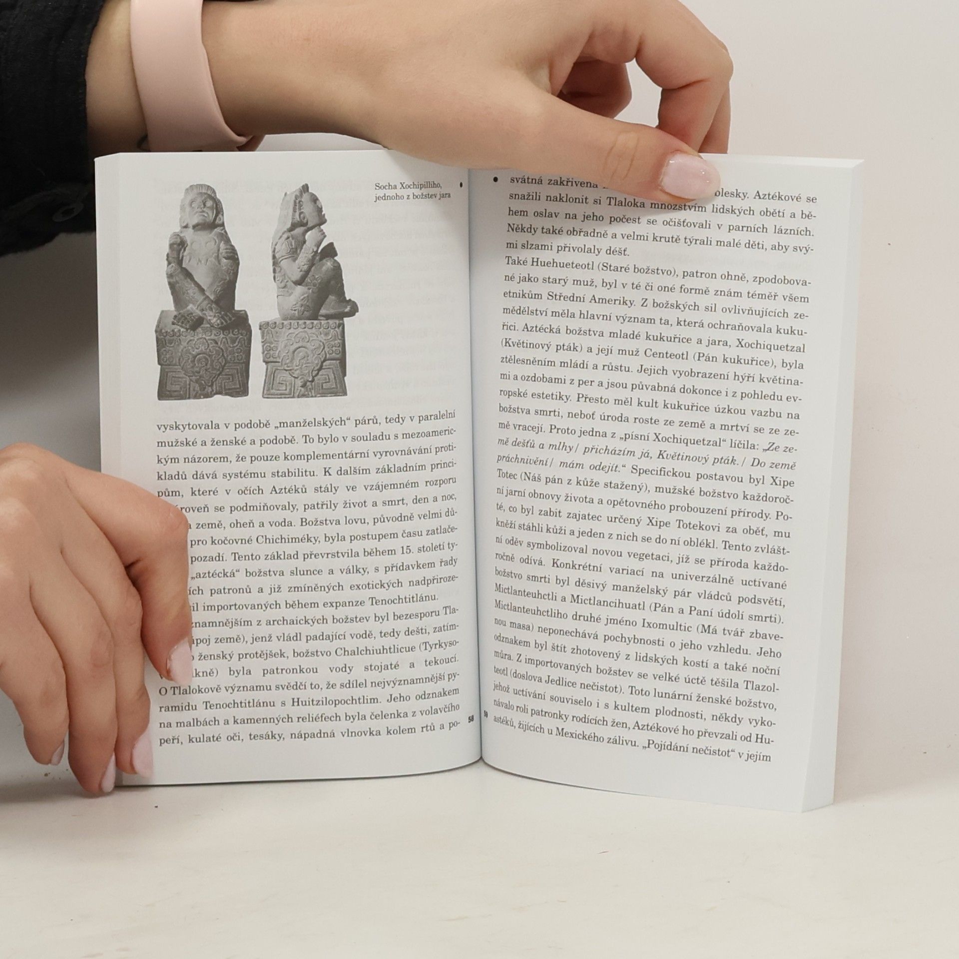 Markéta Křížová Aztékové : půvab a krutost indiánské civilizace