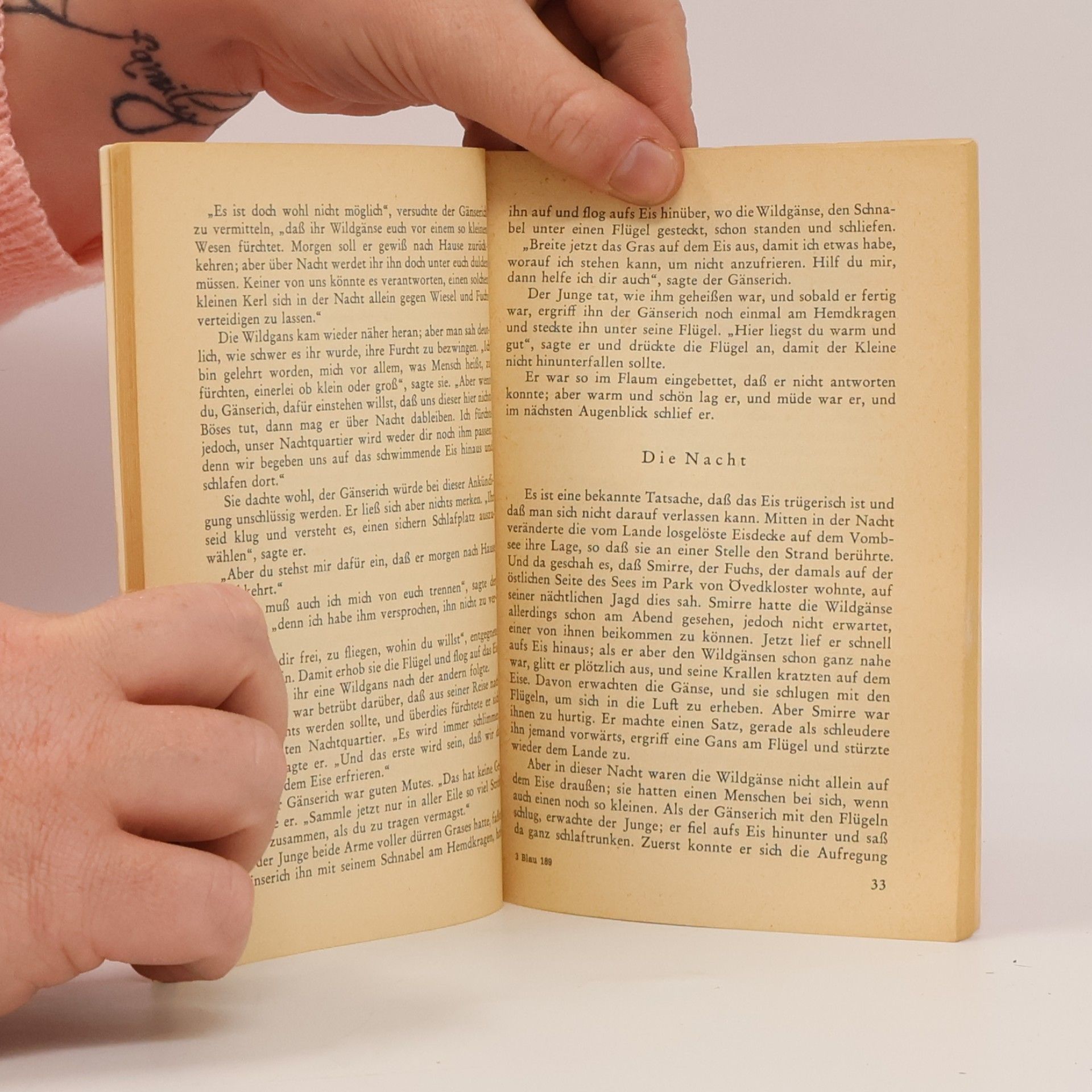 Selma Lagerlöf Wunderbare Reise des kleinen Nils Holgersson