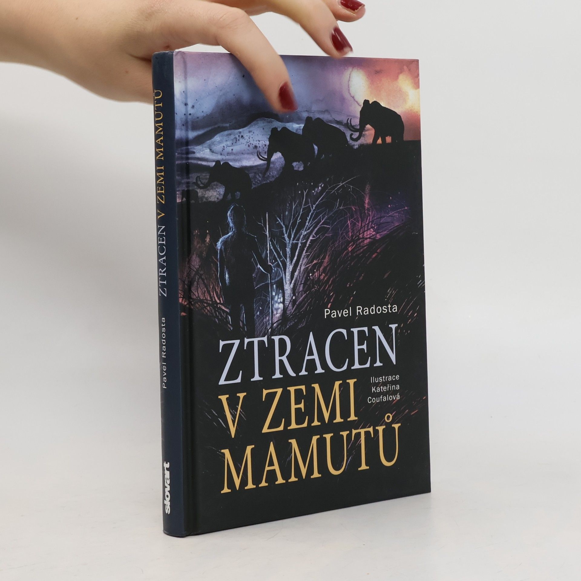 Ztracen v zemi mamutů