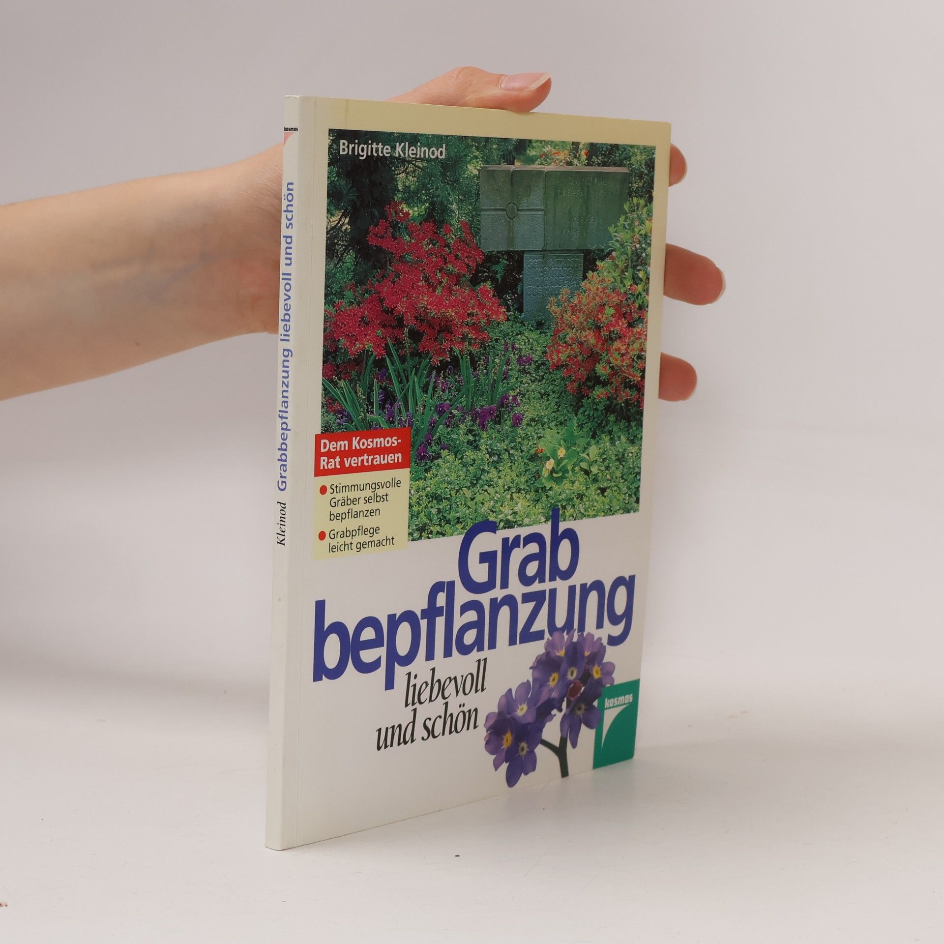Grabbepflanzung