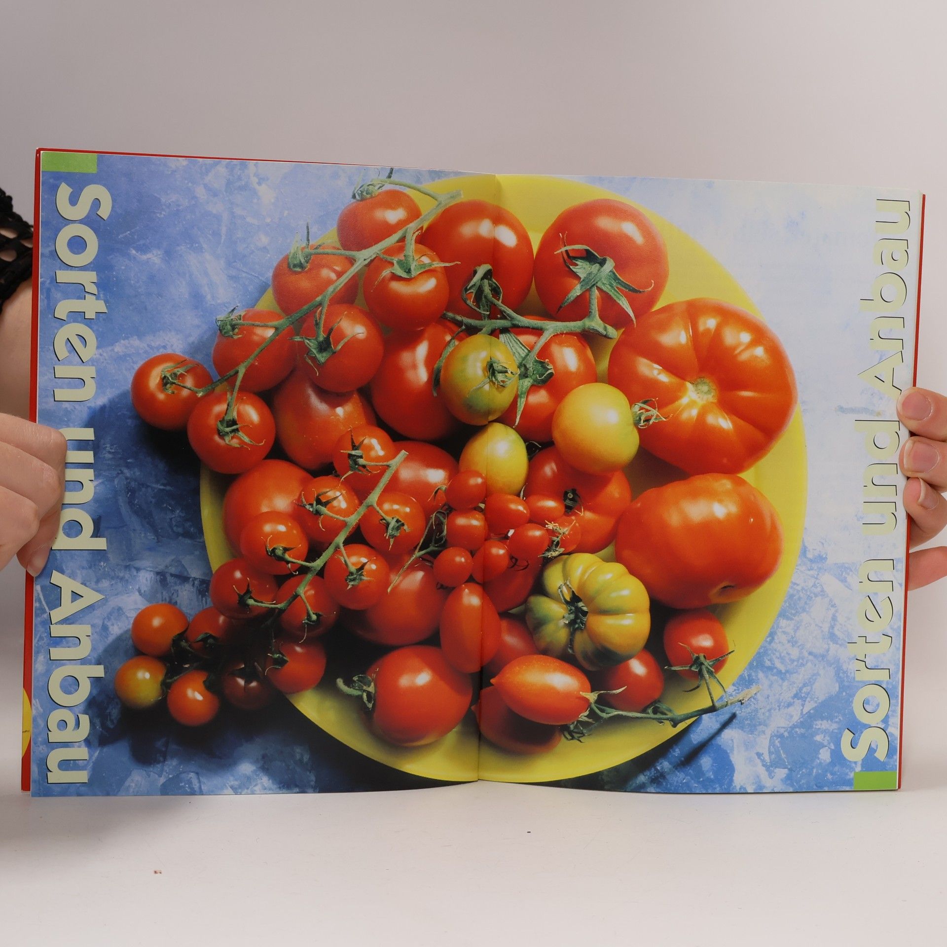 Eva Schumann Tomaten