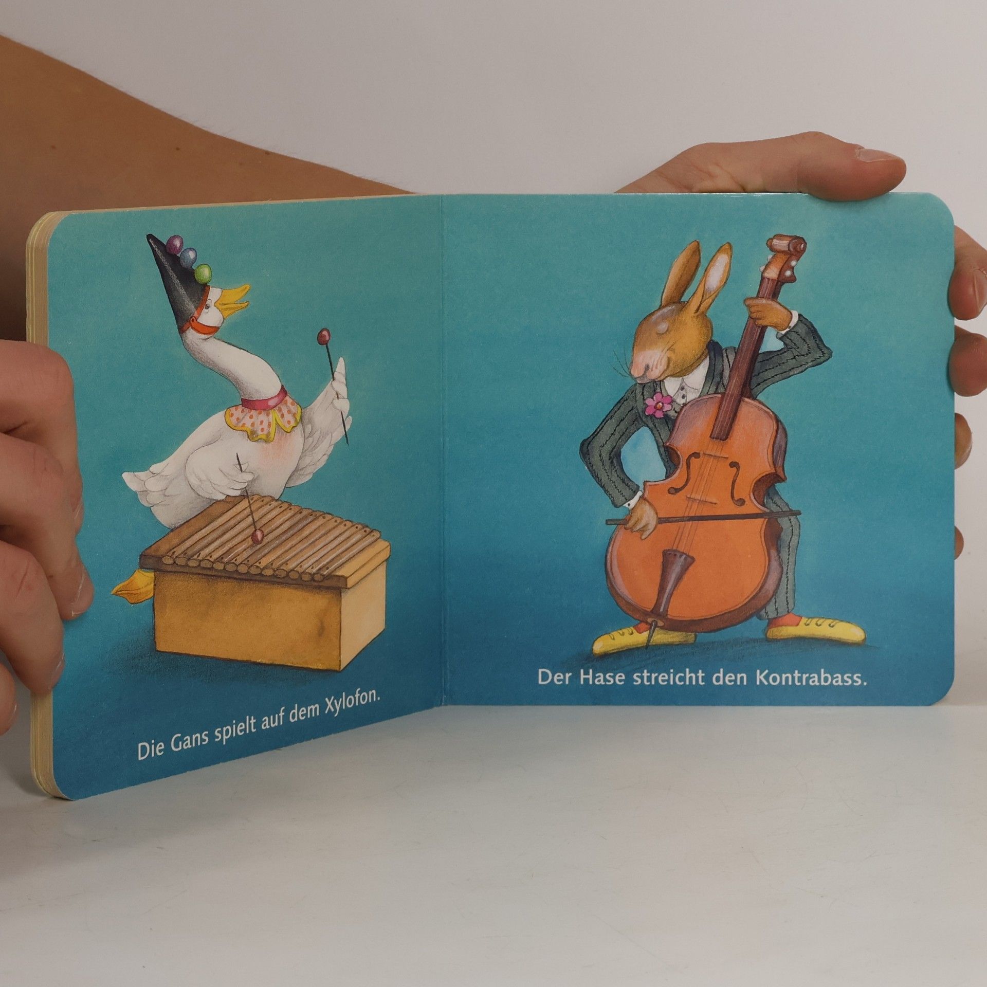 Renate Seelig Mein allererstes Instrumentenbuch