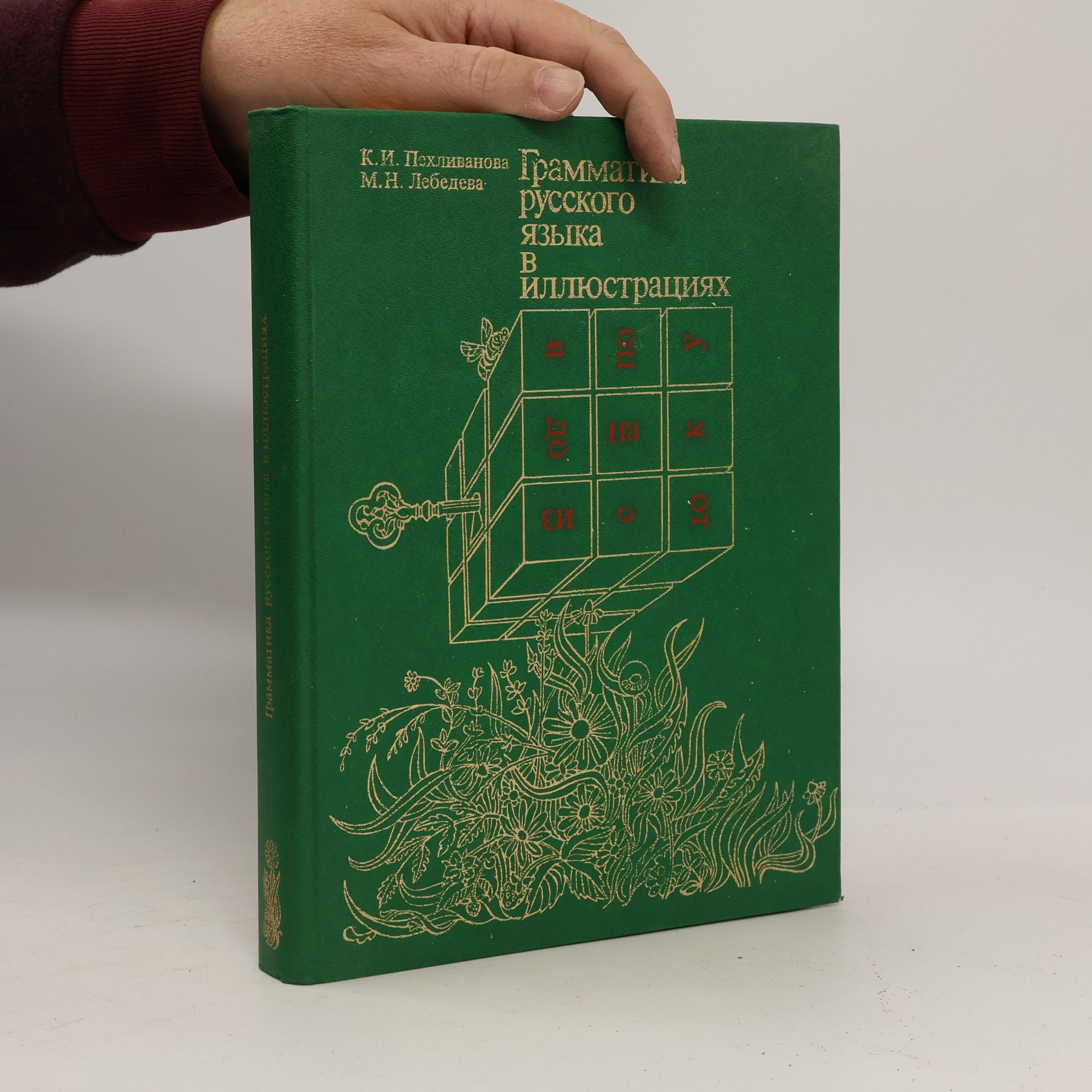 Various authors Грамматика русского языка в иллюстрациях
