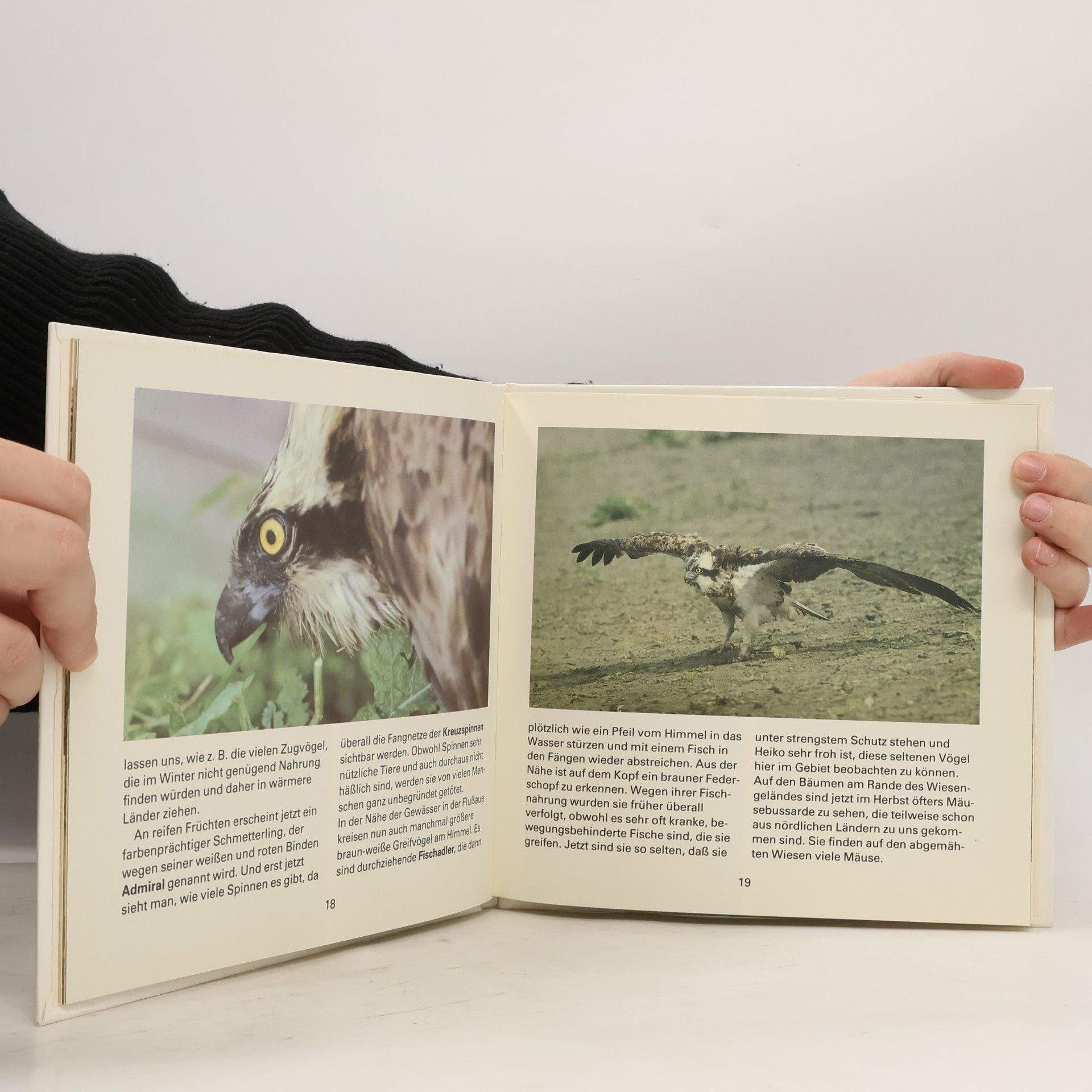 Uwe Zuppke Gefiederte Jäger. Für junge Naturfreunde fotografiert und aufgeschrieben