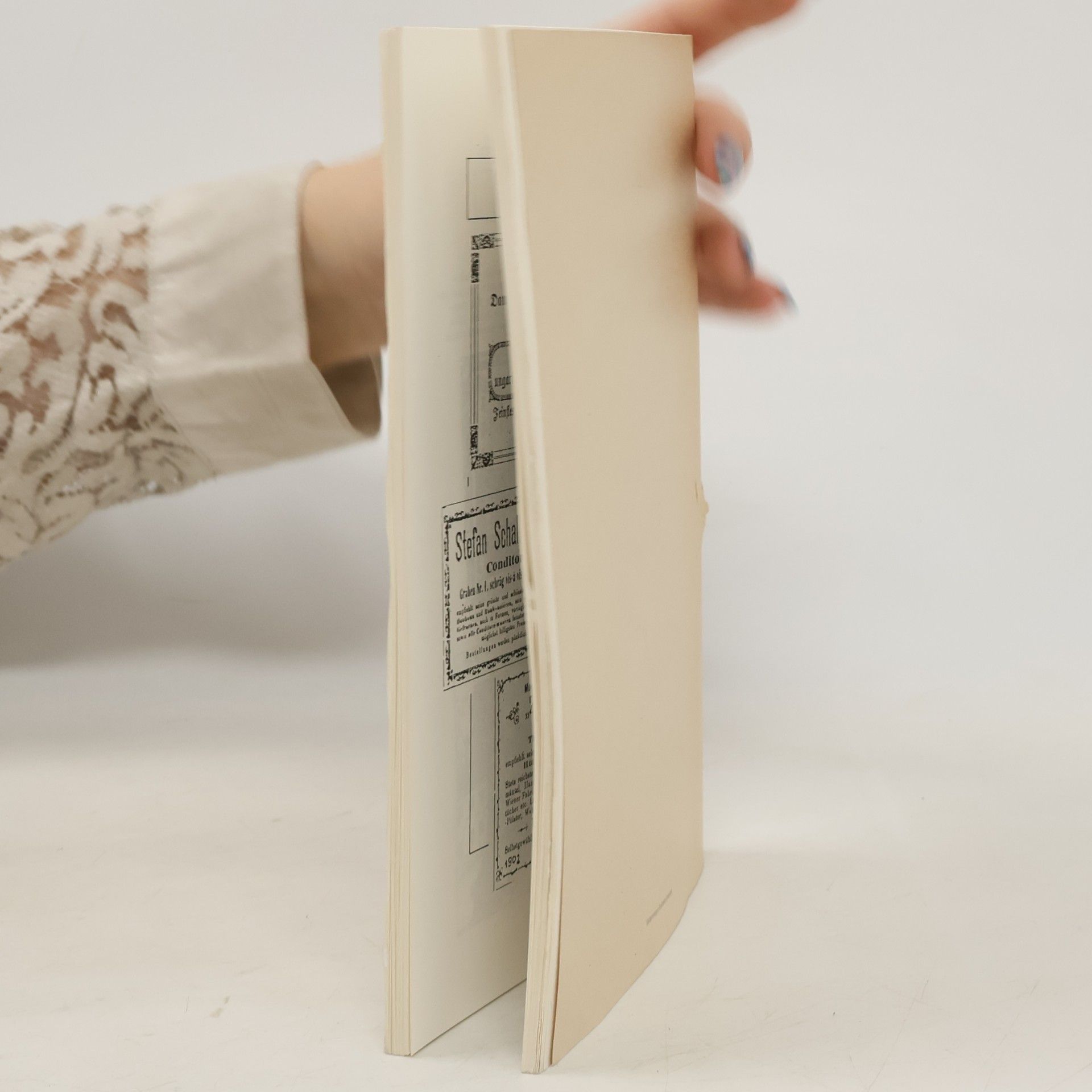 Ingrid Spitzbart Die Stadt Gmunden im Wandel der Zeit