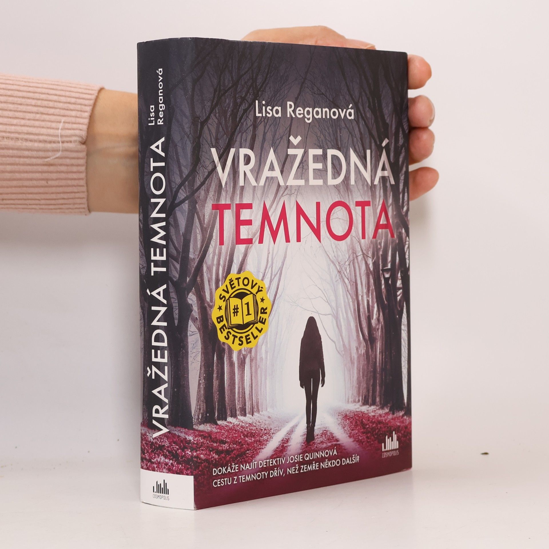 Lisa Regan Vražedná temnota